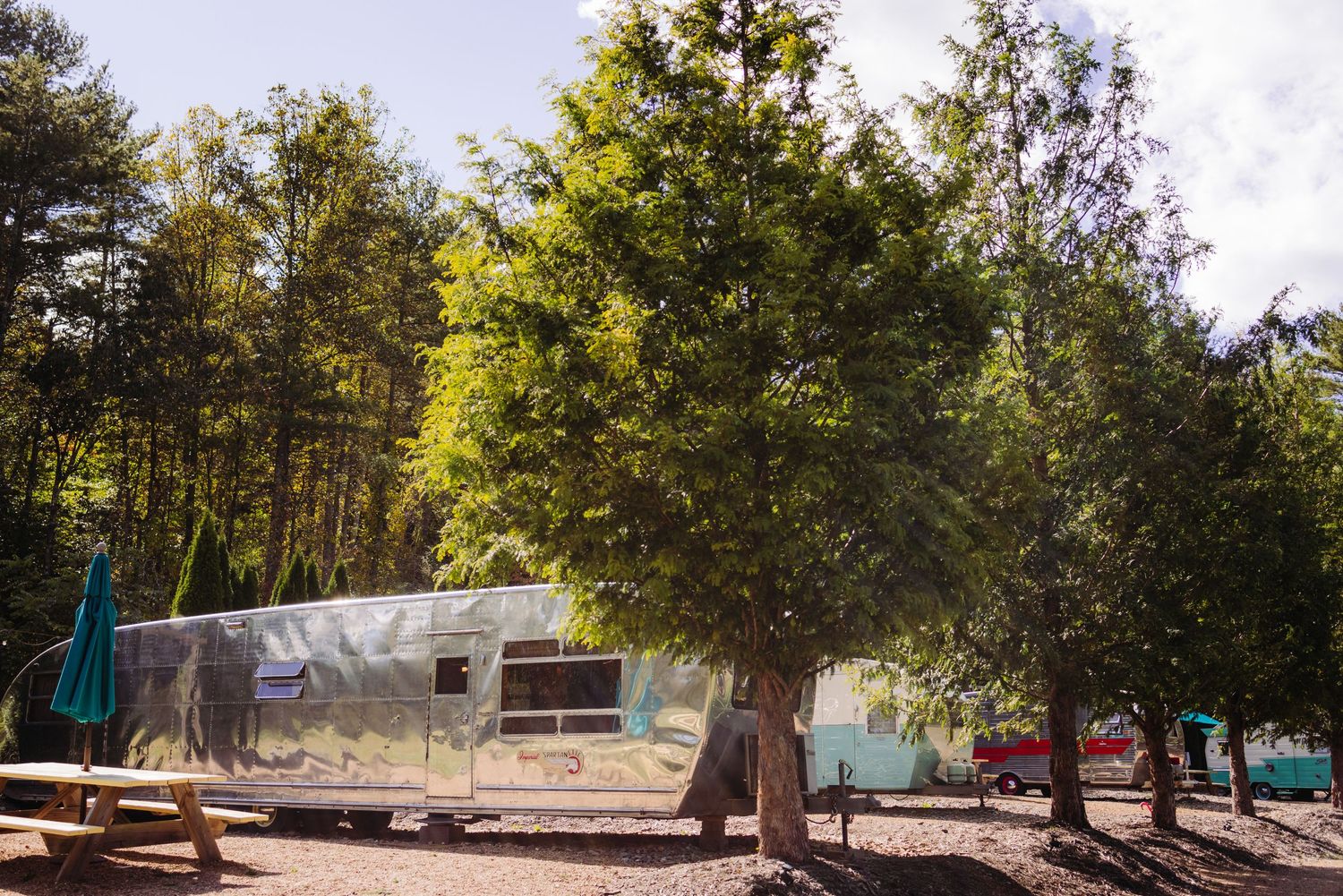 A classic Airstream trailer gleams in the sunlight surrounded by tall green trees in a forest setting.