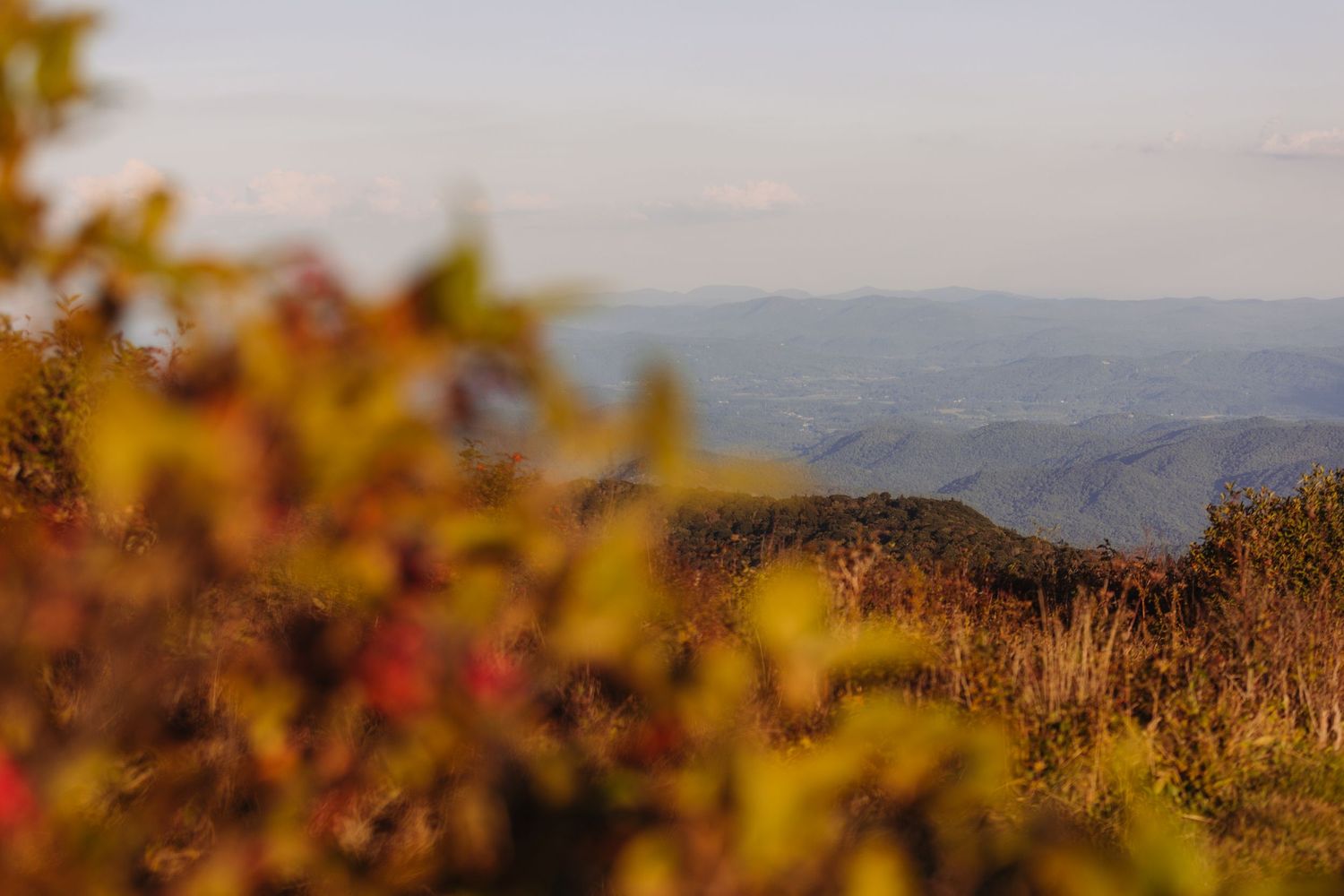 Scenic mountain landscape with autumn foliage and distant blue ridges.