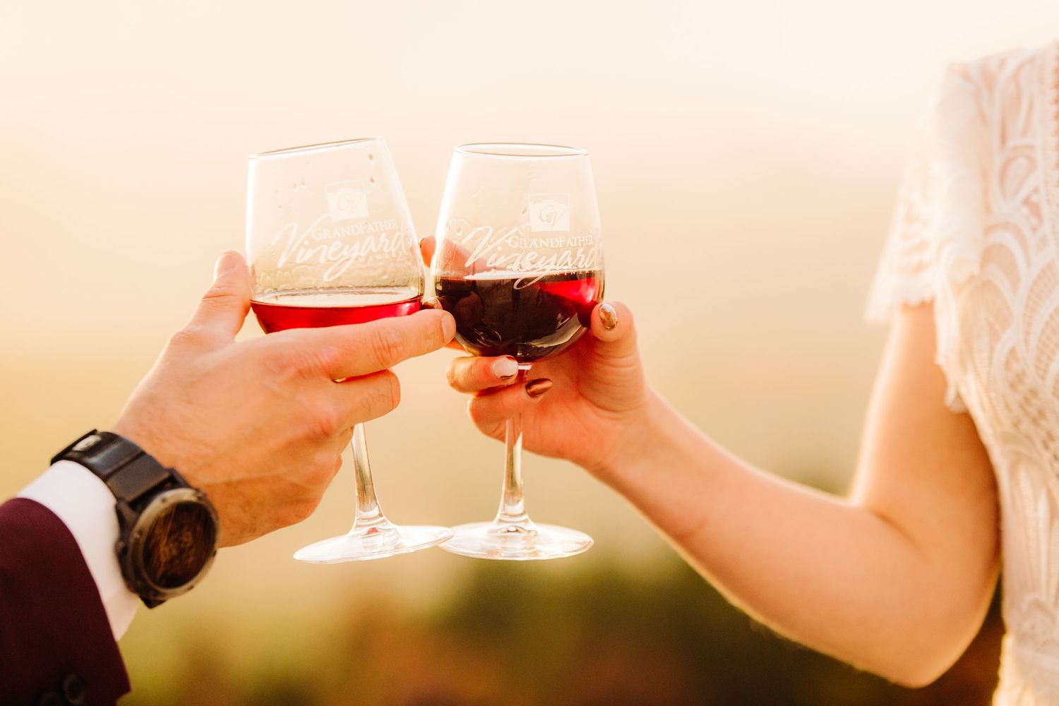 Two hands toast with glasses of red wine against a soft background during a celebration.