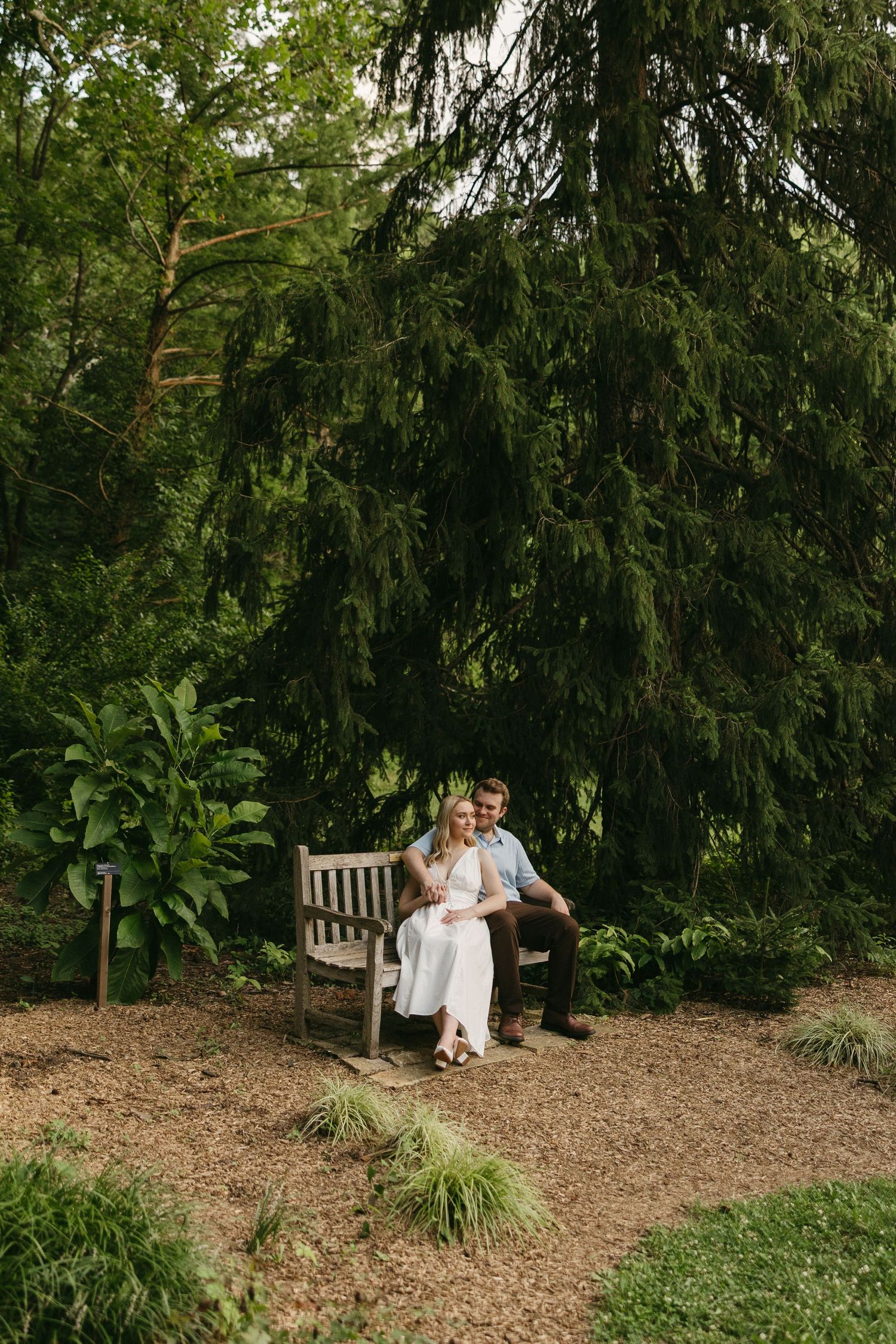 Couple sitting closely together on a wooden bench surrounded by towering evergreen trees in a garden.