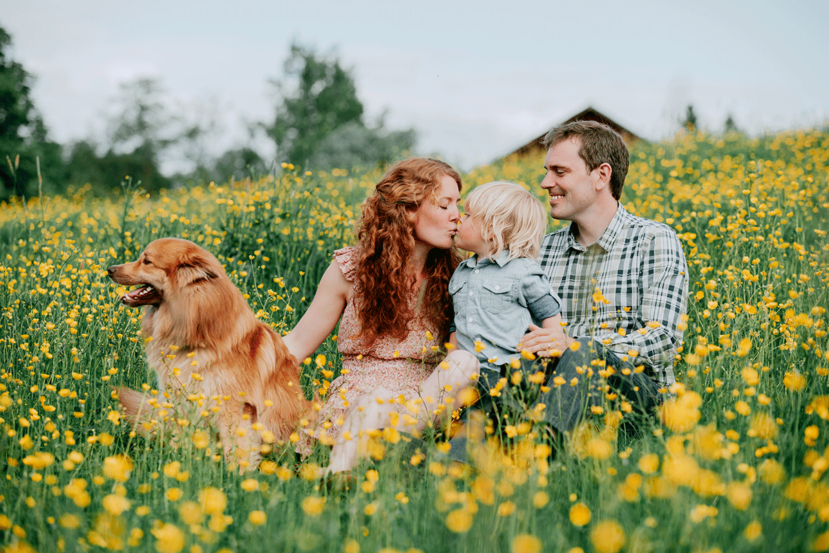 Familj på en äng med gula blommor. Mamma, pappa, son och hund. mamma och son pussar varandra.
