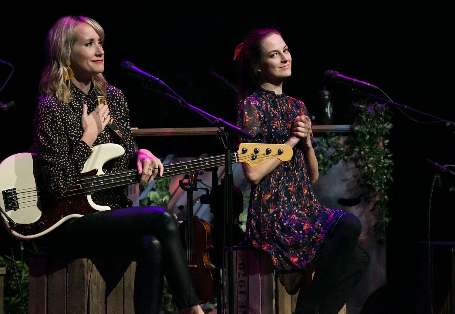 Peter, Bruno, Matilda och Petra Unplugged 2019. Fotograf Rebecca Nordin.