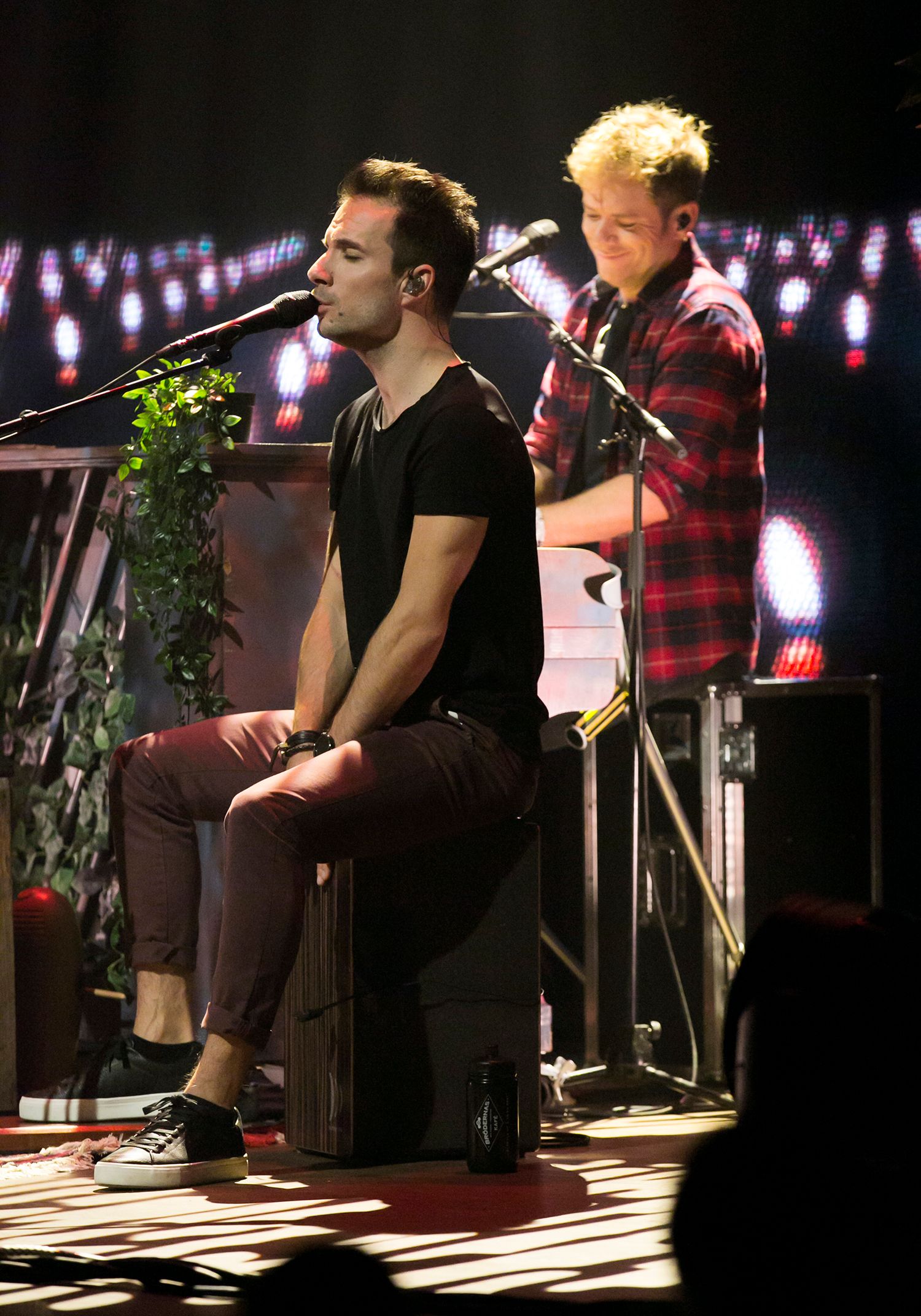 Peter, Bruno, Matilda och Petra Unplugged 2019. Fotograf Rebecca Nordin.