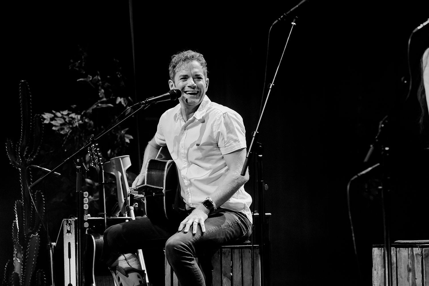Peter, Bruno, Matilda och Petra Unplugged 2019. Fotograf Rebecca Nordin.