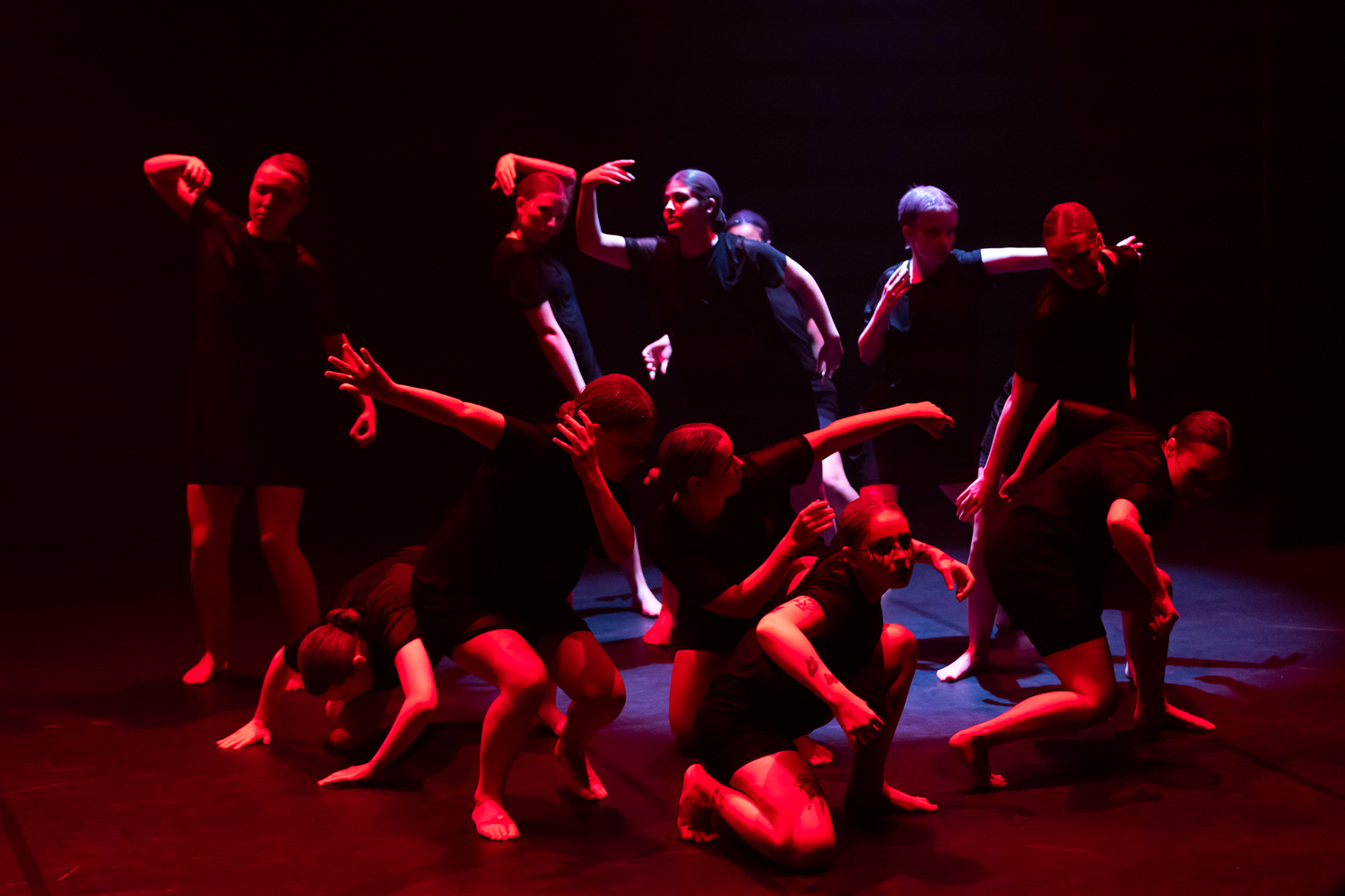 Dansens dag på Arenan i Karlstad. Karlstads Universitets Dansåret och Danspedagogiska-året. Koreografer Karin Lilja och Madeleine Persson.