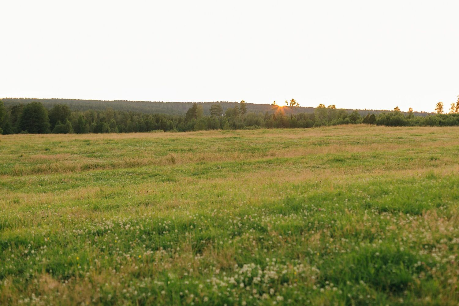 Parfotografering med Martina och Sebastian i Borgvik utanför Karlstad. Naturbild på åker med solen som går ner.