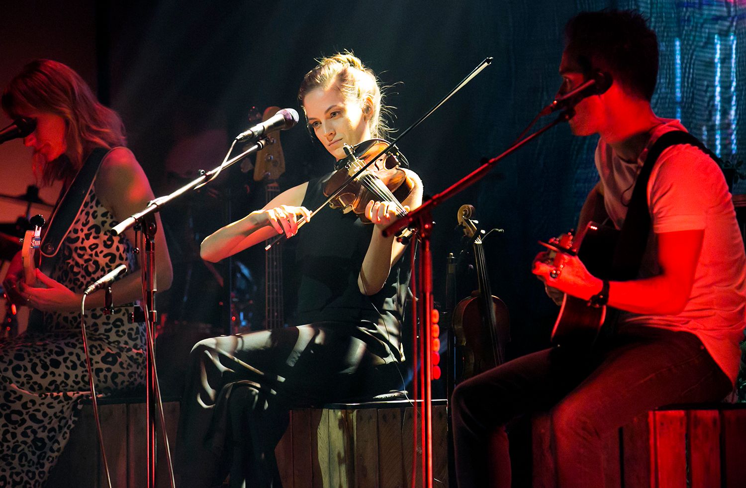 Peter, Bruno, Matilda och Petra Unplugged 2019. Fotograf Rebecca Nordin.