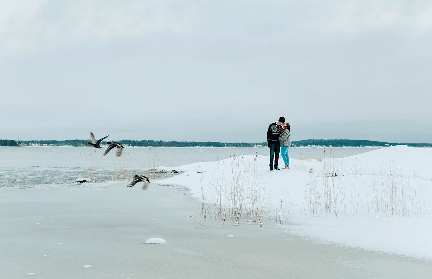 Kärlekspar i snön på Skutberget. De kysser varandra och fåglar flyger bredvid dem.