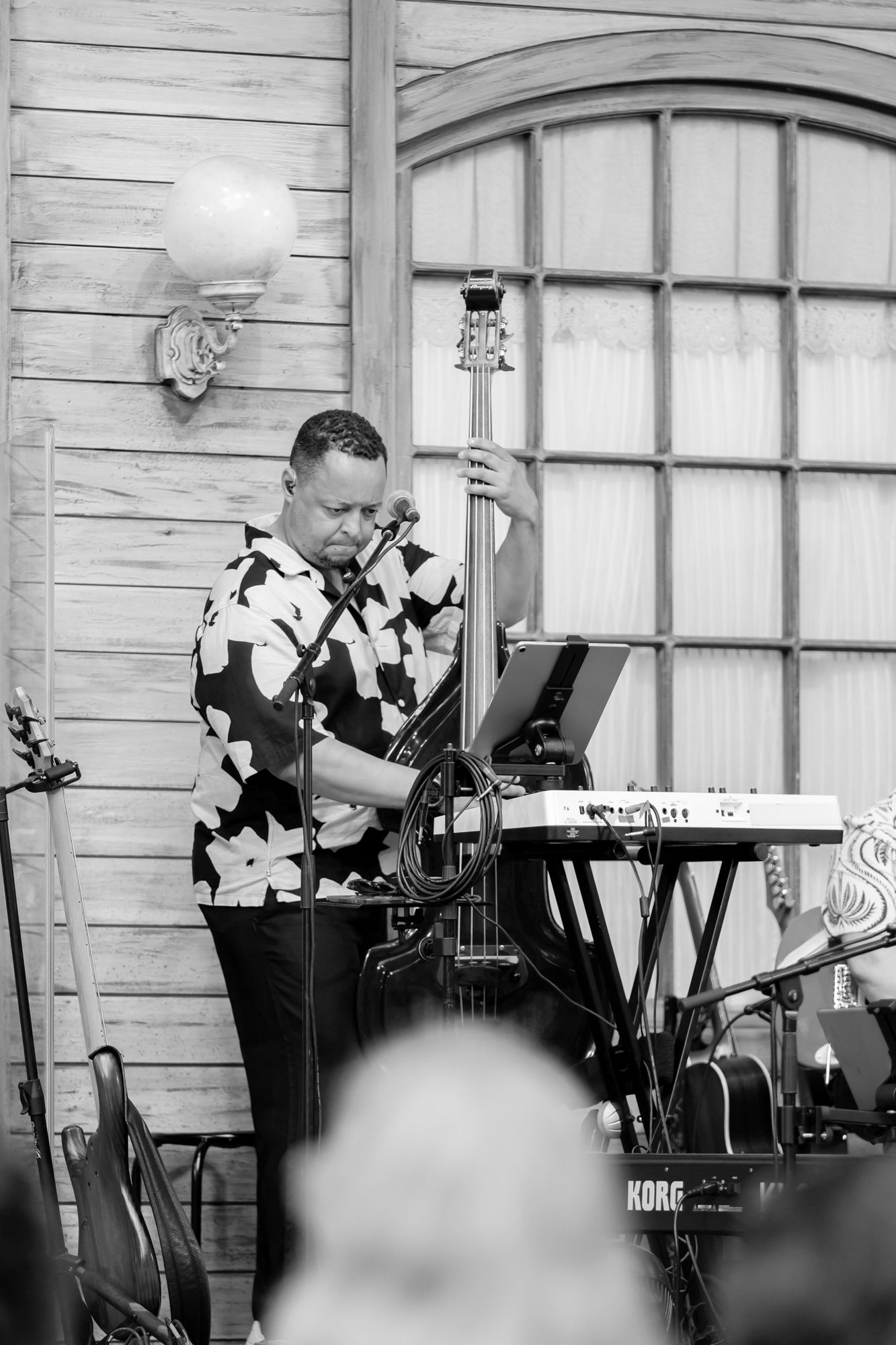 Musikalkväll med Peter Johansson o Emmi Christensson. Svartvit bild på basisten Christopher Ek.