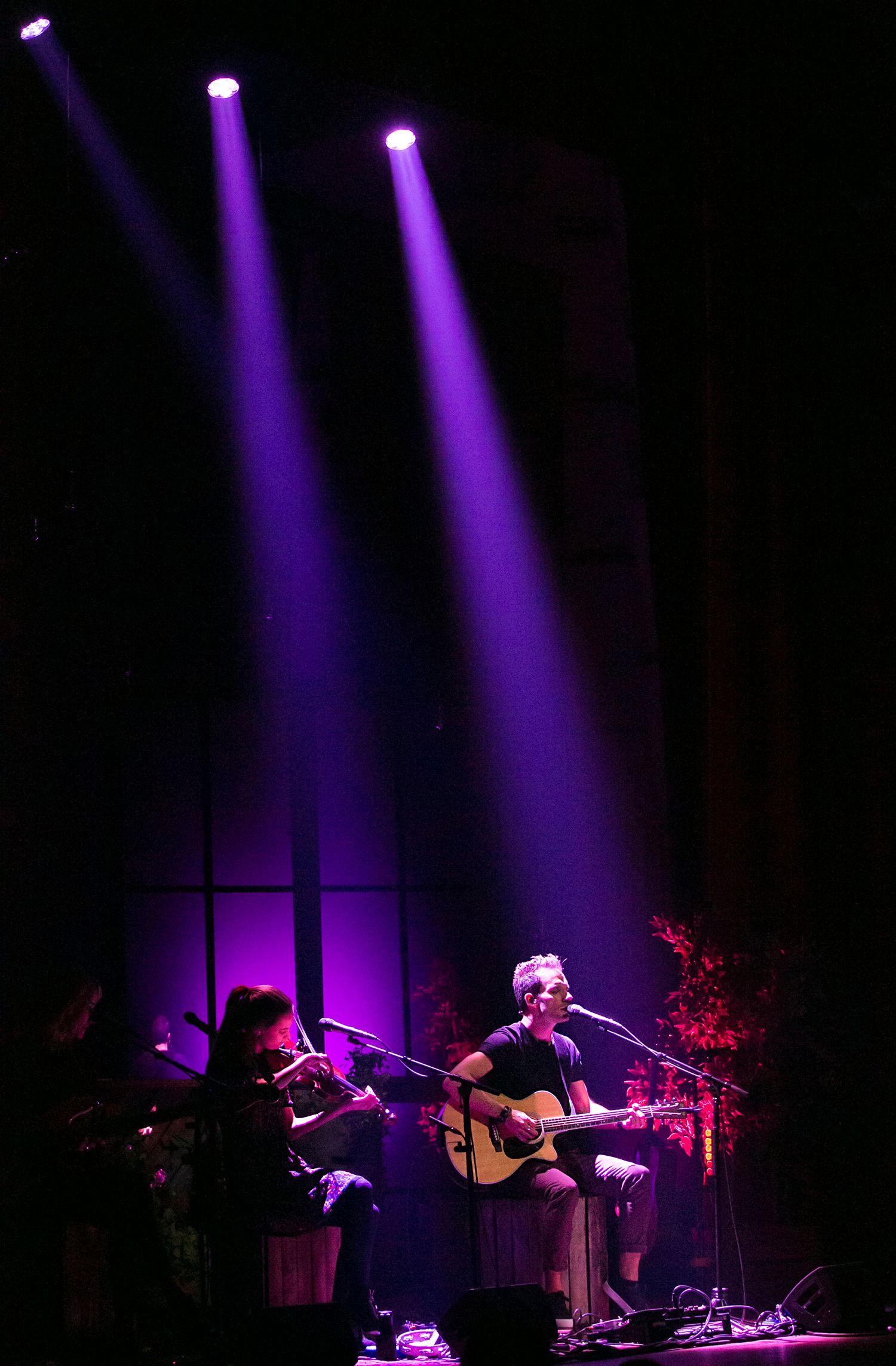 Peter, Bruno, Matilda och Petra Unplugged 2019. Fotograf Rebecca Nordin.