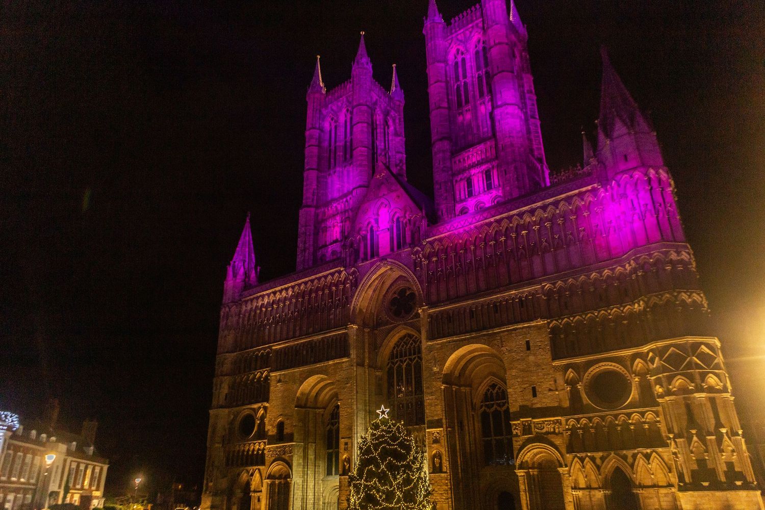 Lincoln Cathedral illuminated in vibrant purple lights at night with a Christmas tree in the foreground.