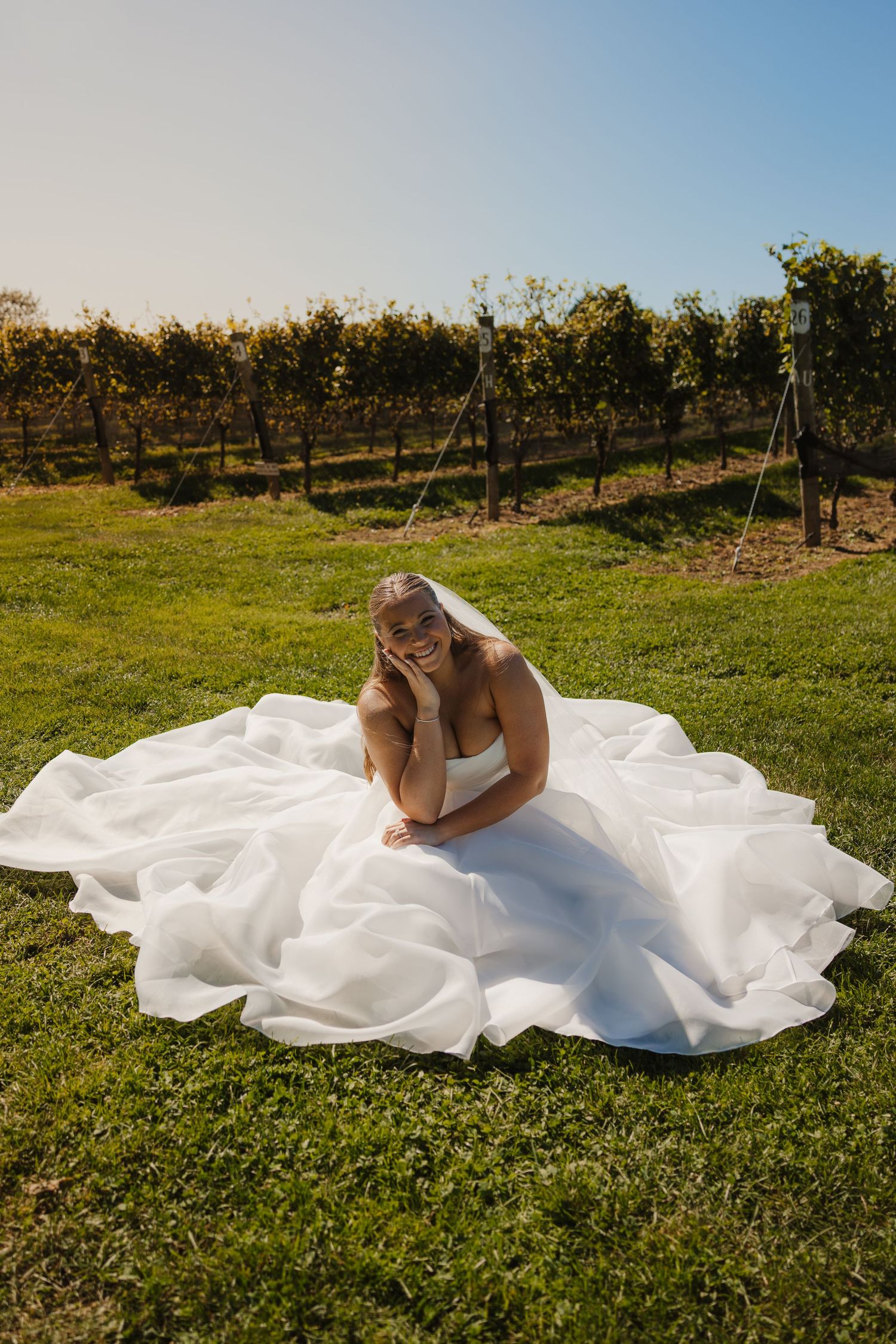 Bride in a flowing white ball gown sitting on green grass at a vineyard, smiling joyfully on a sunny day.