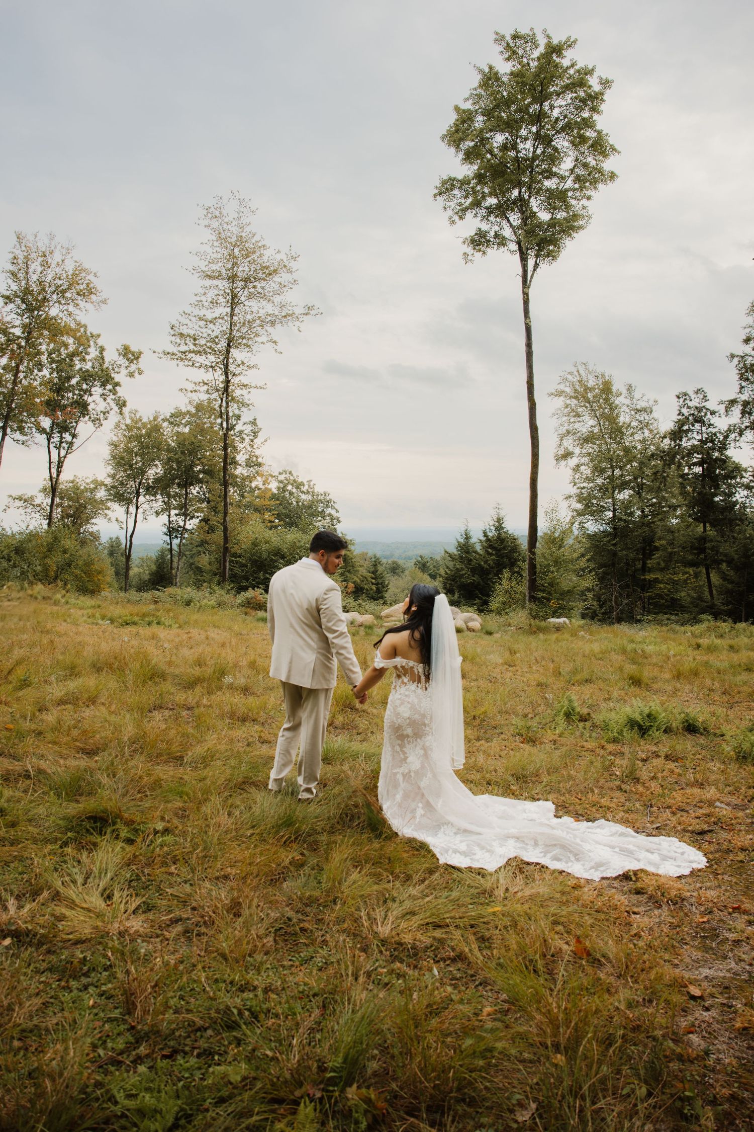 Bride and groom hold hands in scenic meadow with mountain views, bride wearing lace gown with long veil.