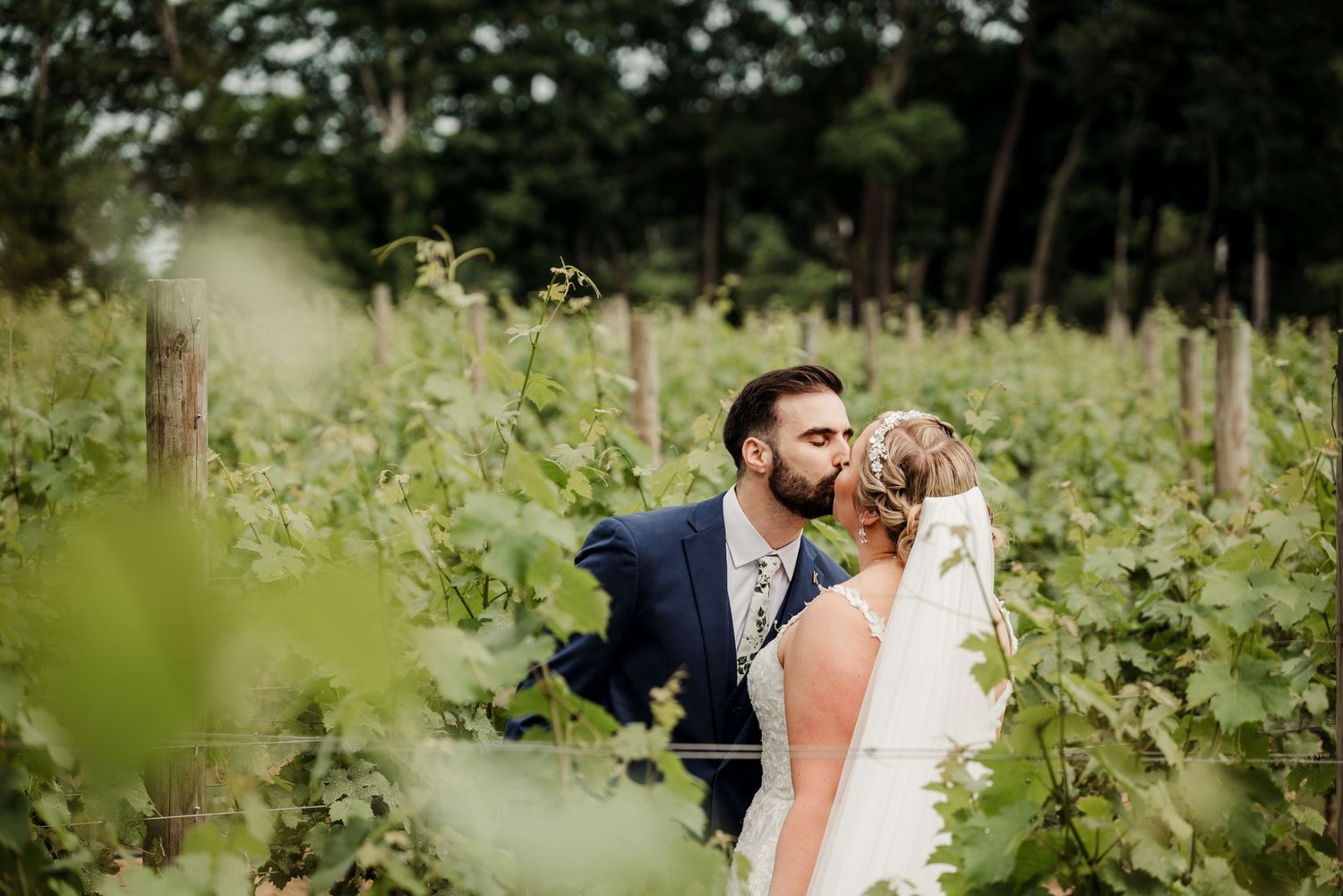 A bride and groom share a romantic kiss among lush green vineyard rows on their wedding day.