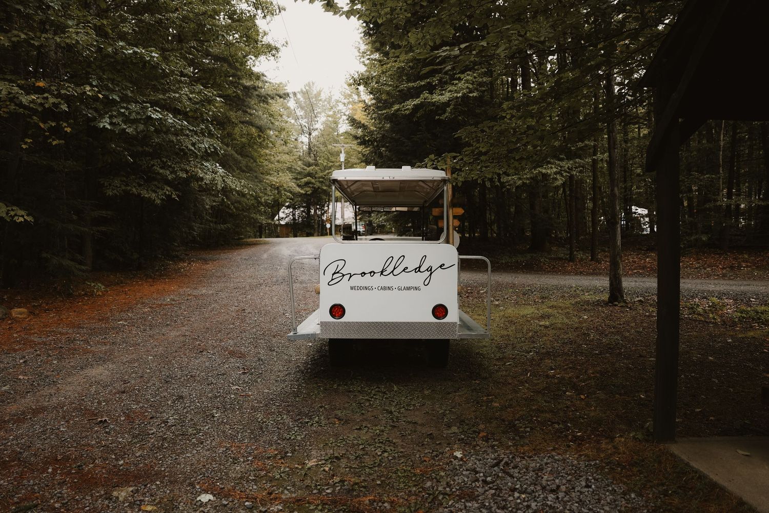 White vintage wedding shuttle bus parked on wooded gravel path at rustic venue.