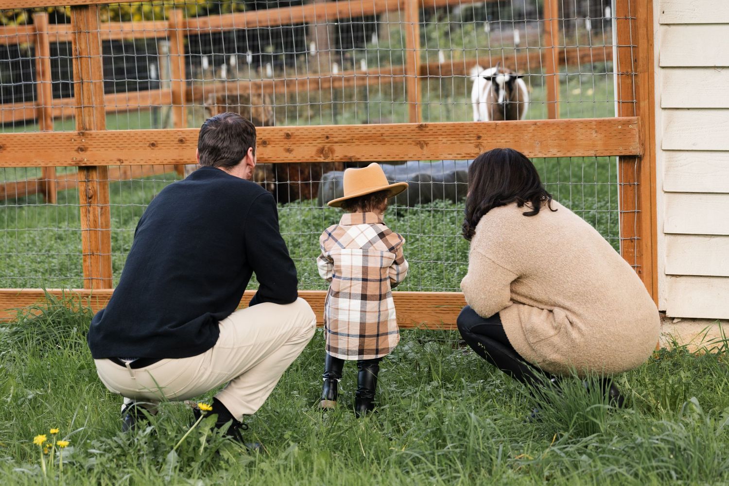 Parents crouching beside their young child while exploring a farm together during a candid family photography session in Utah County.