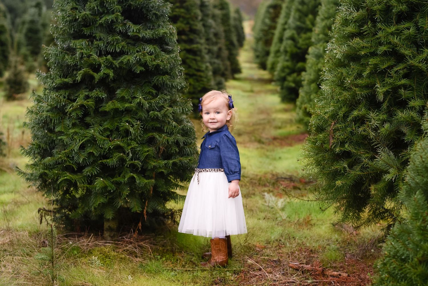 Natural light child portrait captured in a scenic tree farm setting.