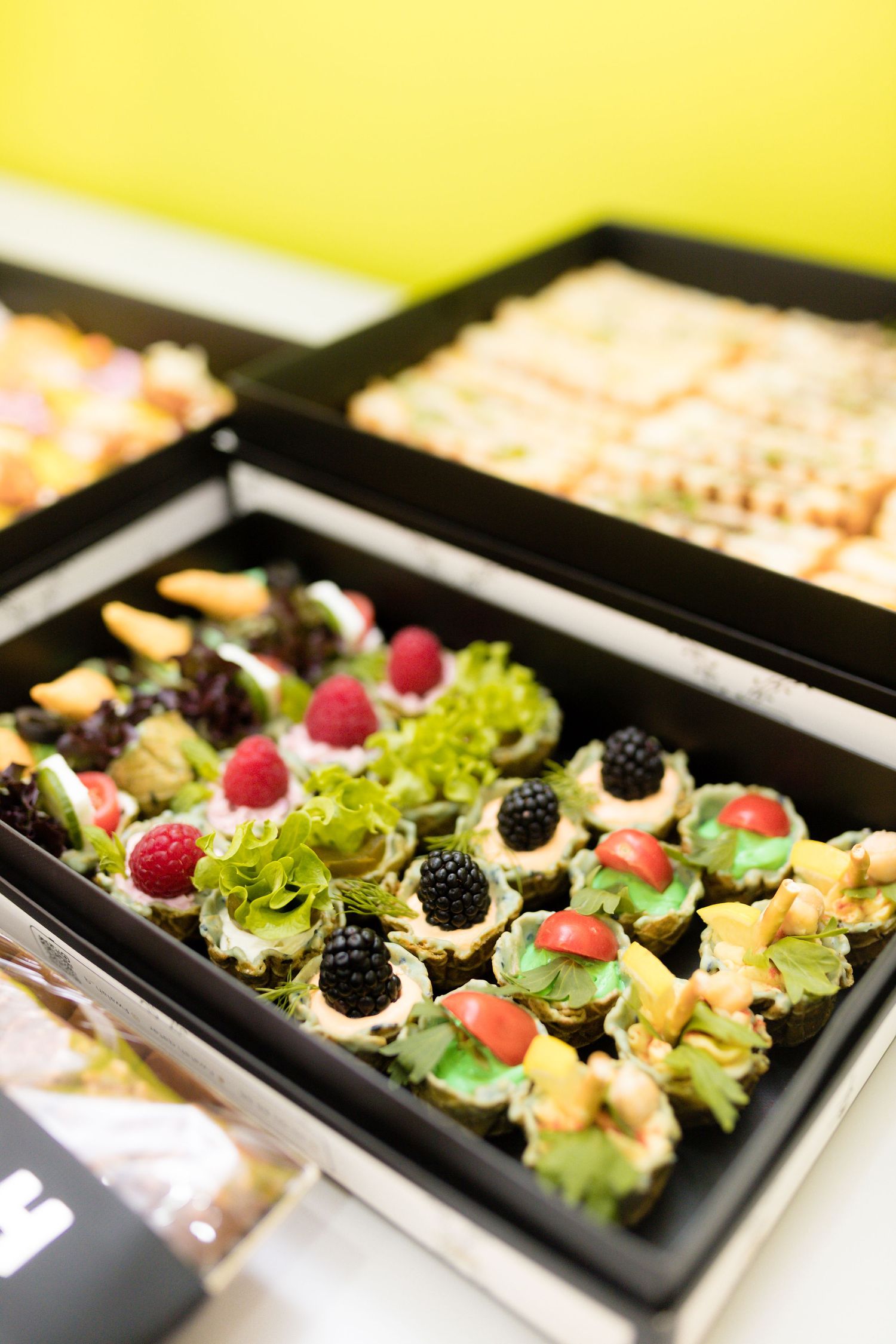 Elegant catered appetizers with fresh berries, lettuce and bite-sized hors d'oeuvres arranged on black serving platters.