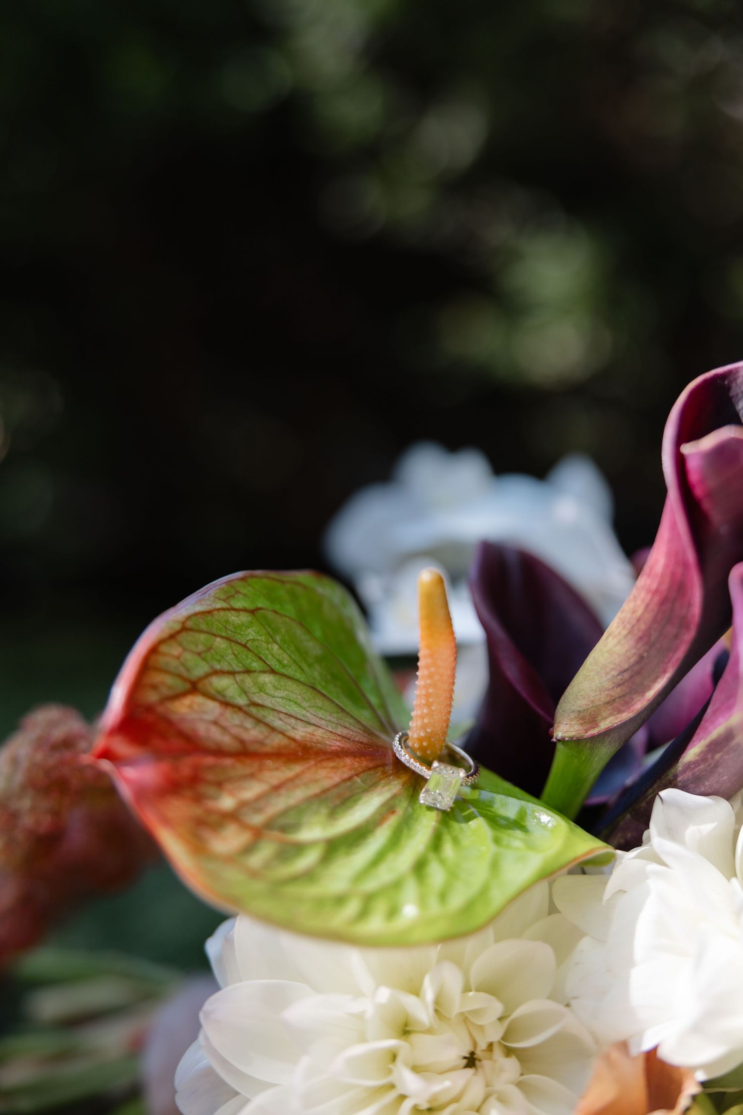 A diamond engagement ring resting on a colorful anthurium flower in a wedding bouquet with dahlias and calla lilies.