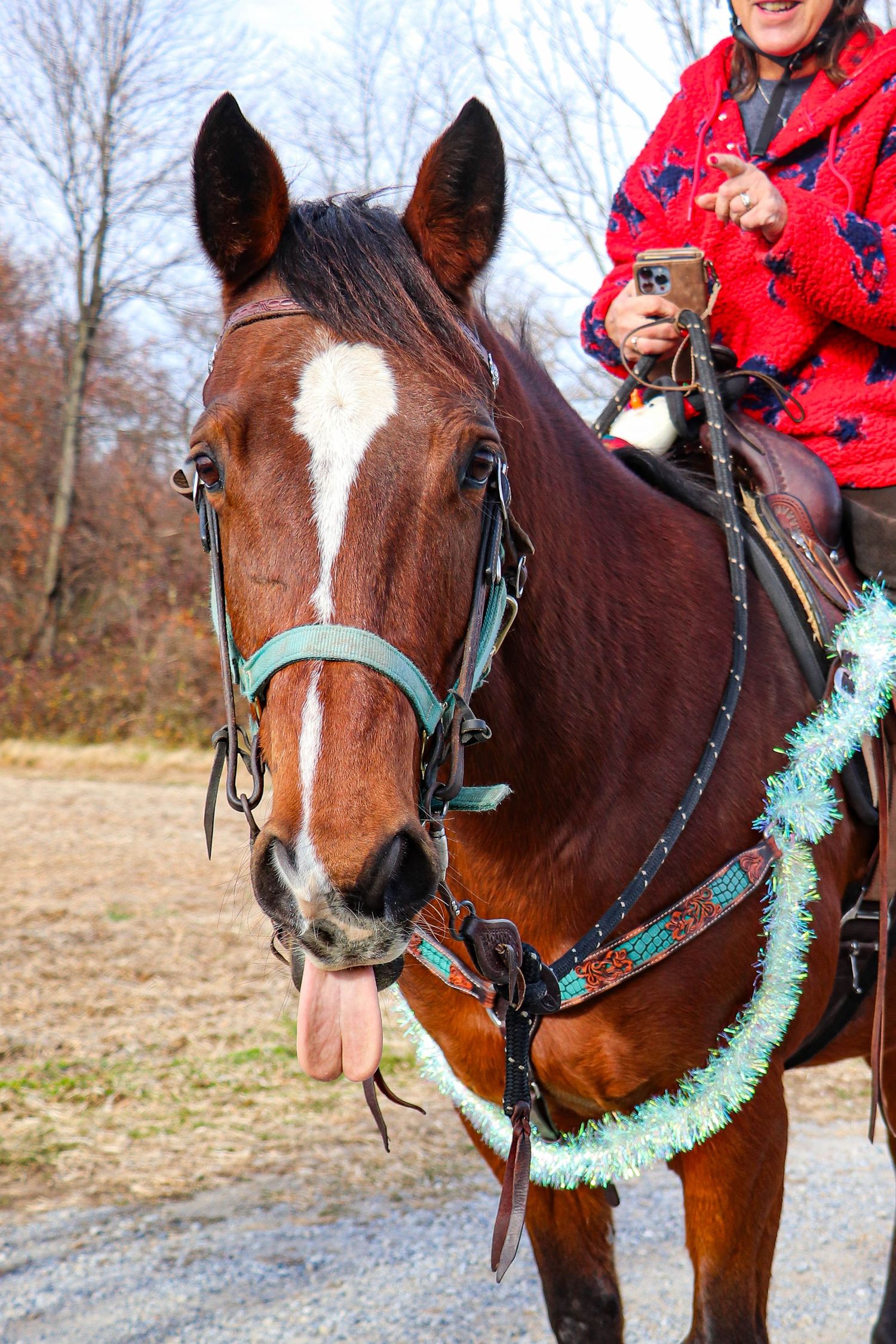 A chestnut horse with a white blaze sticks out its tongue while wearing teal tinsel garland.