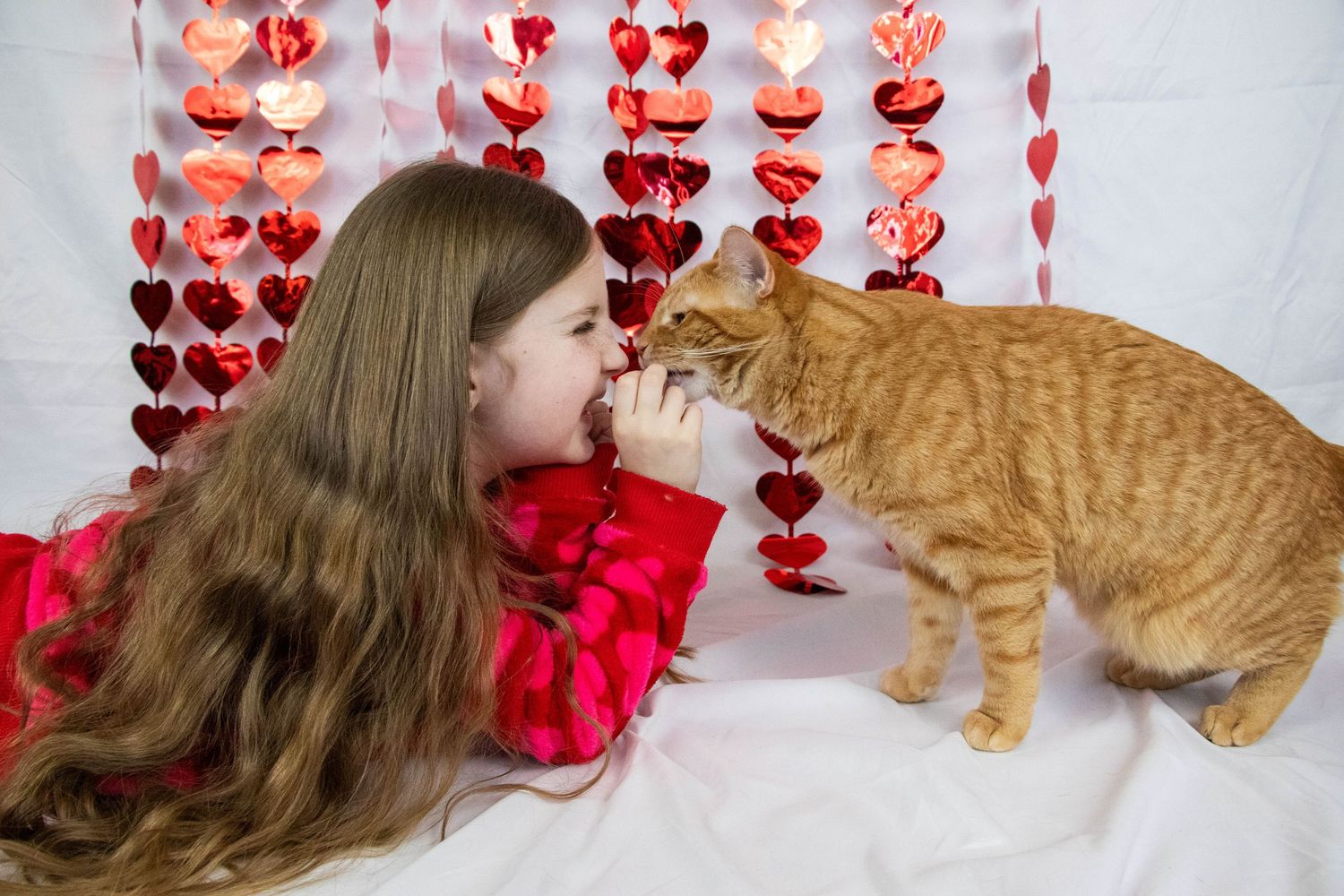Young girl in red dress sharing a sweet nose-to-nose moment with an orange tabby cat on Valentine's Day.