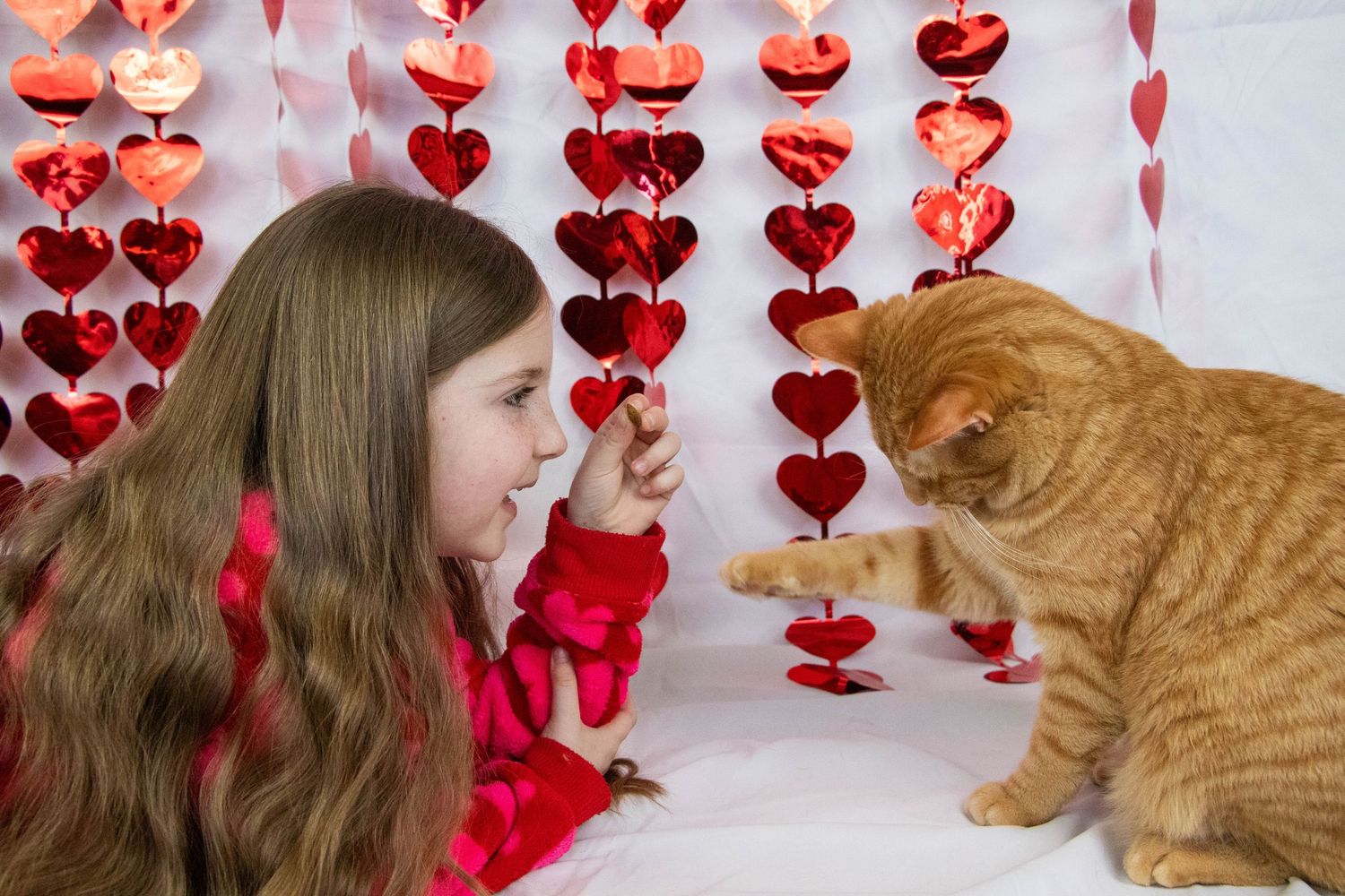 Young girl with long hair interacting with an orange tabby cat against a red heart garland backdrop.