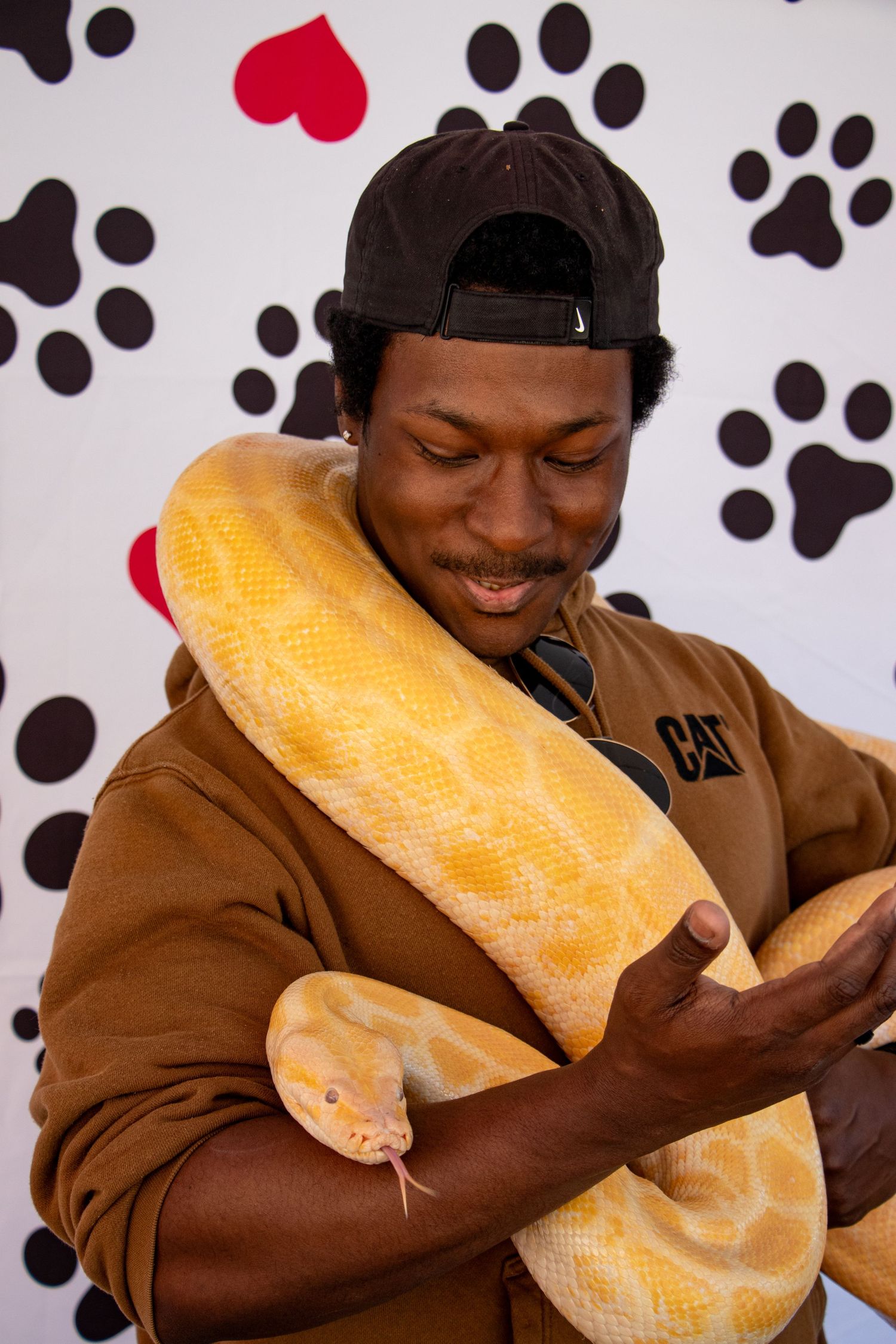 Young man in a brown hoodie and cap smiling while holding a large yellow albino Burmese python snake.