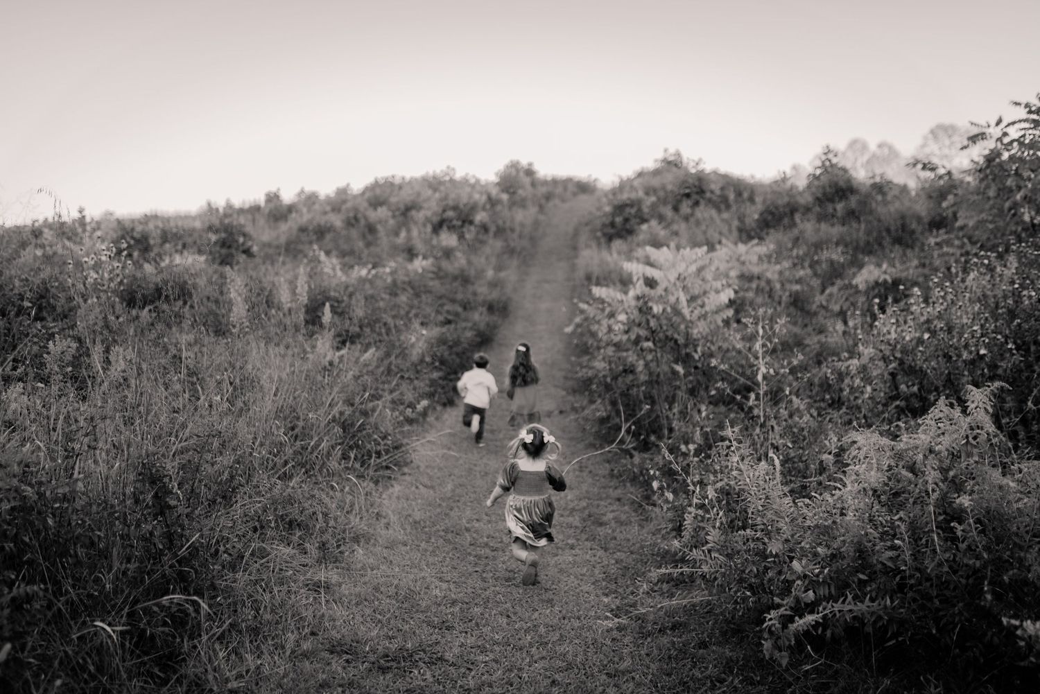 Black and white photo of people walking along a winding dirt path through wild brush on a hillside.