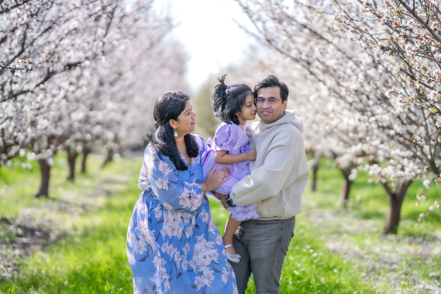 A couple shares tender moments under blooming cherry blossom trees in a spring orchard during a photo session.