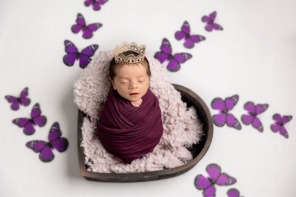 Newborn photography with purple butterflies surrounding a heart-shaped basket with plush pink bedding and burgundy wrap.