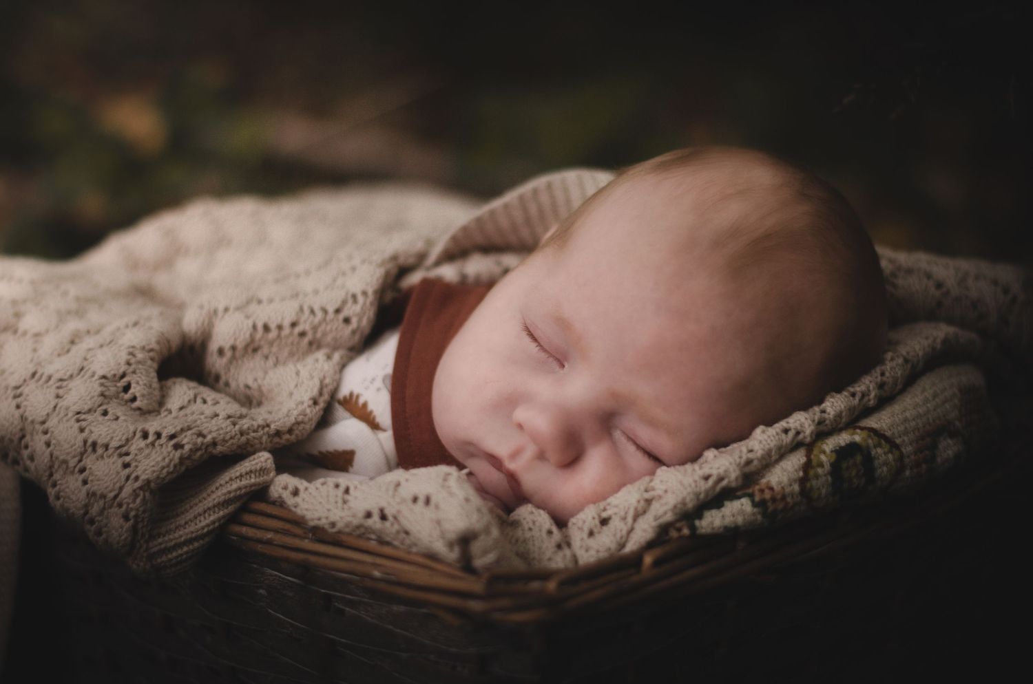 bebis ligger nerbäddad i korg med filtar och sover under barnfotografering i nyköping