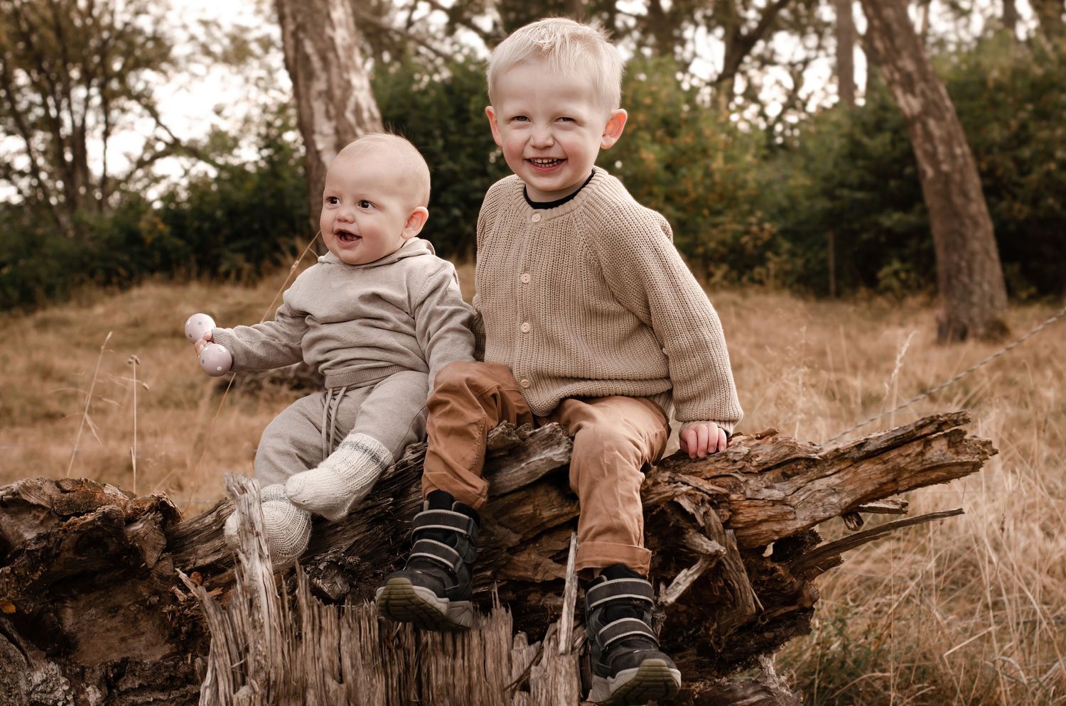 barn med fina stickade tröjor sitter på stock och skrattar åt pappa bakom fotografen under fotografering i nyköping