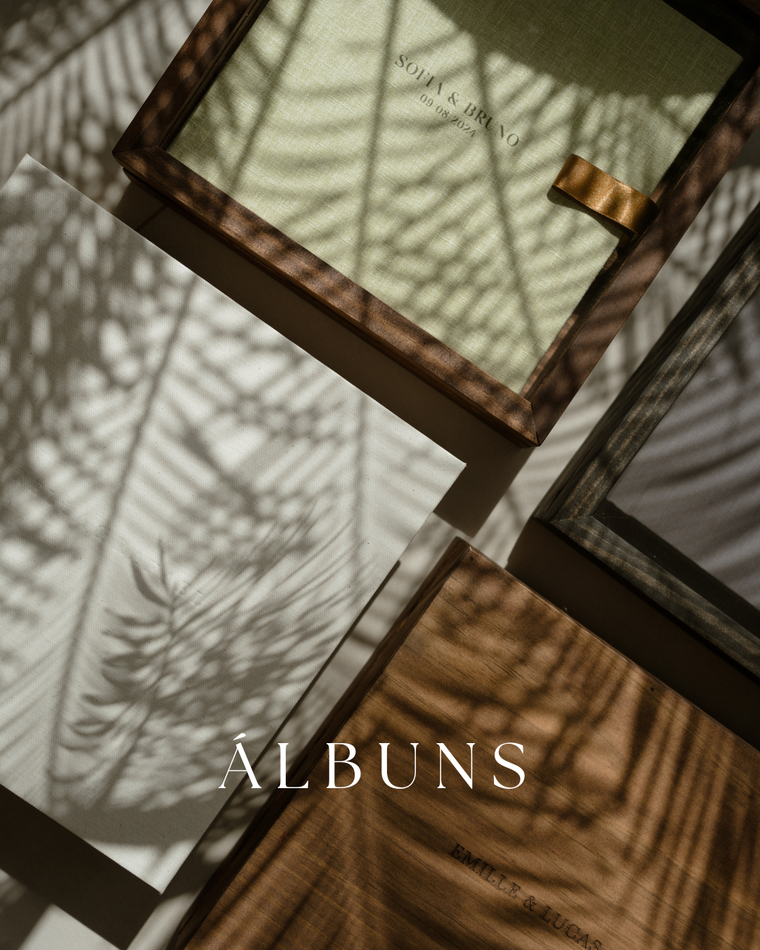 Artistic photograph of palm leaf shadows cast on a white wall with wooden window frames and text reading 'ALBUMS'.