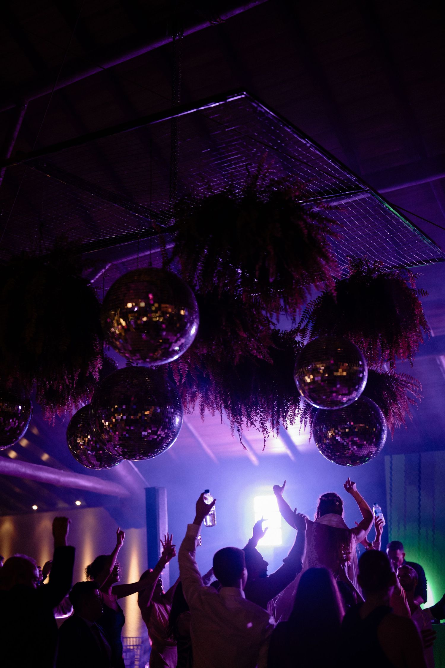 Disco balls and hanging plants above a crowded dance floor bathed in purple light at a lively party.