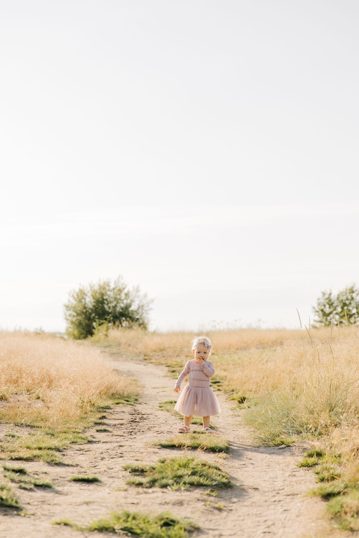 A small child in a pink dress walks along a dirt path through a golden field at sunset.