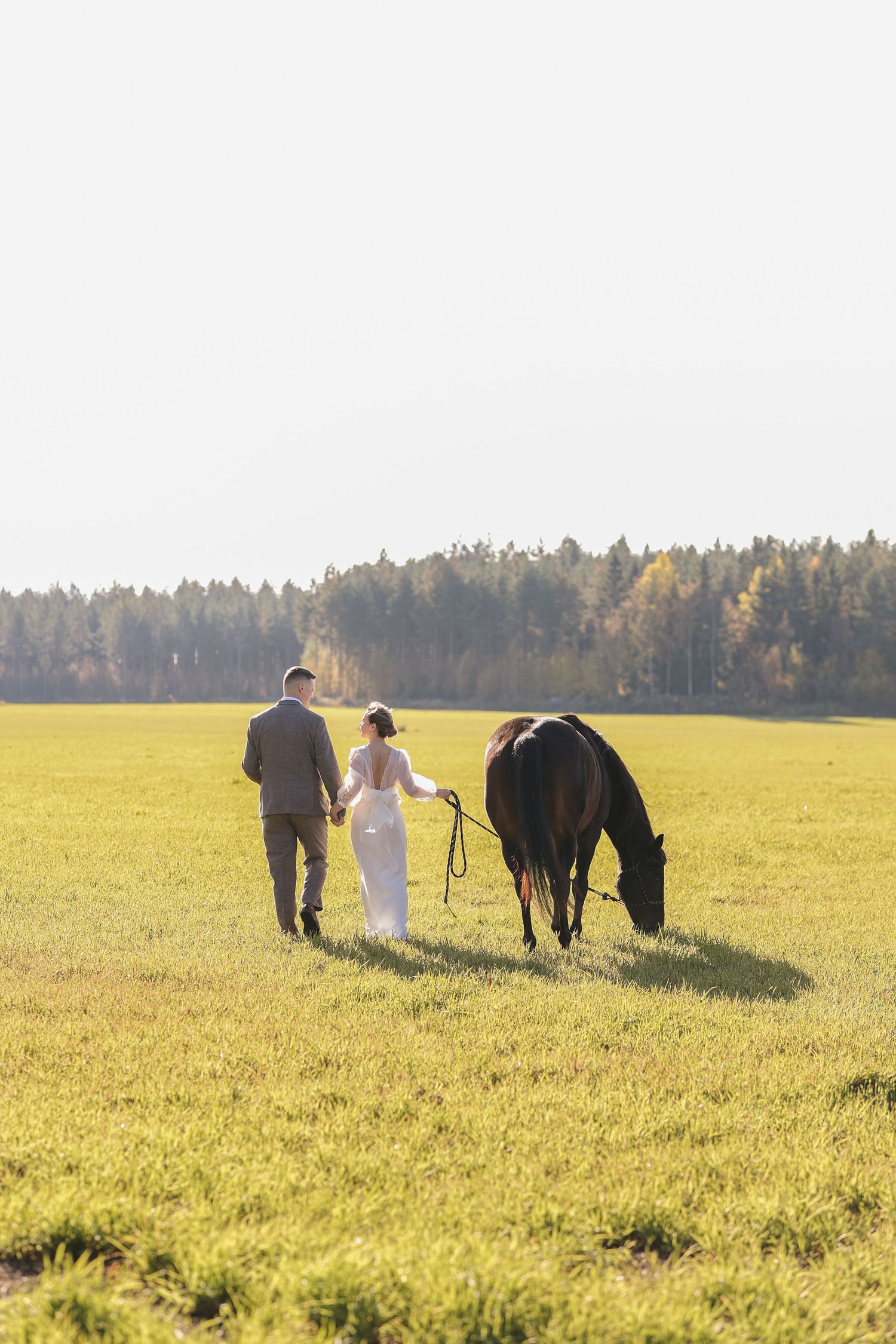 A couple walks together with their black horse in a sunlit meadow near a forest on a bright autumn day.