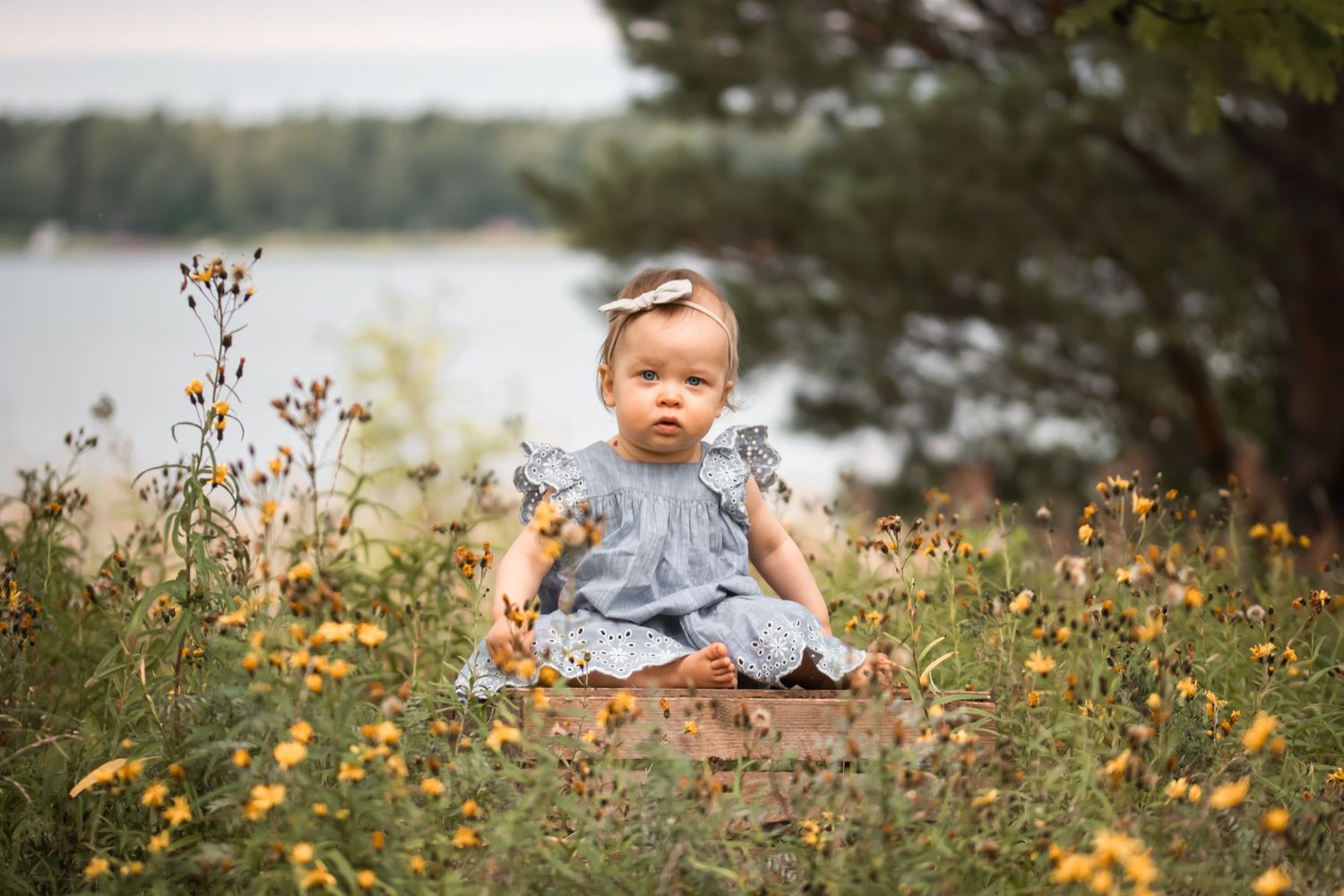 A baby in blue dress sits among yellow wildflowers by a lake.