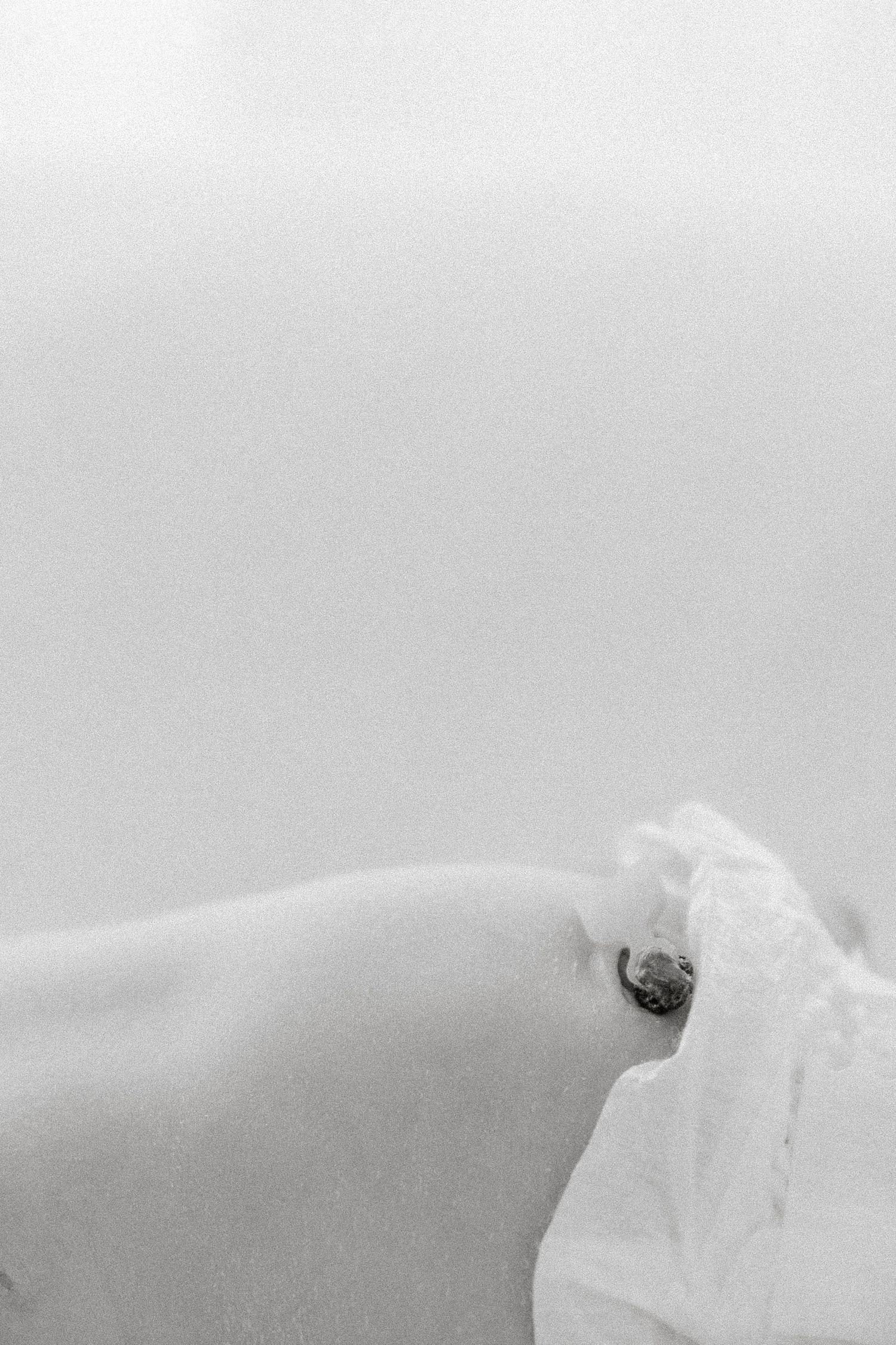 Abstract close-up of white fabric texture in black and white.
