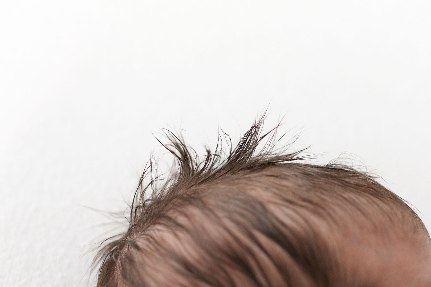A close-up view of spiky brown hair against a white background.