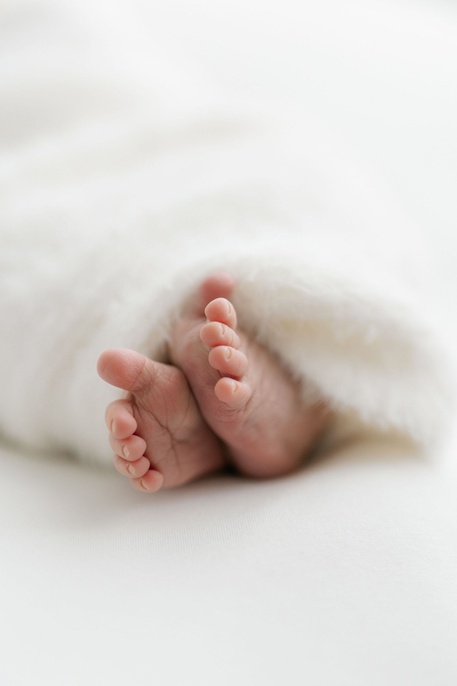 Tiny newborn baby feet peeking out from under a white blanket.