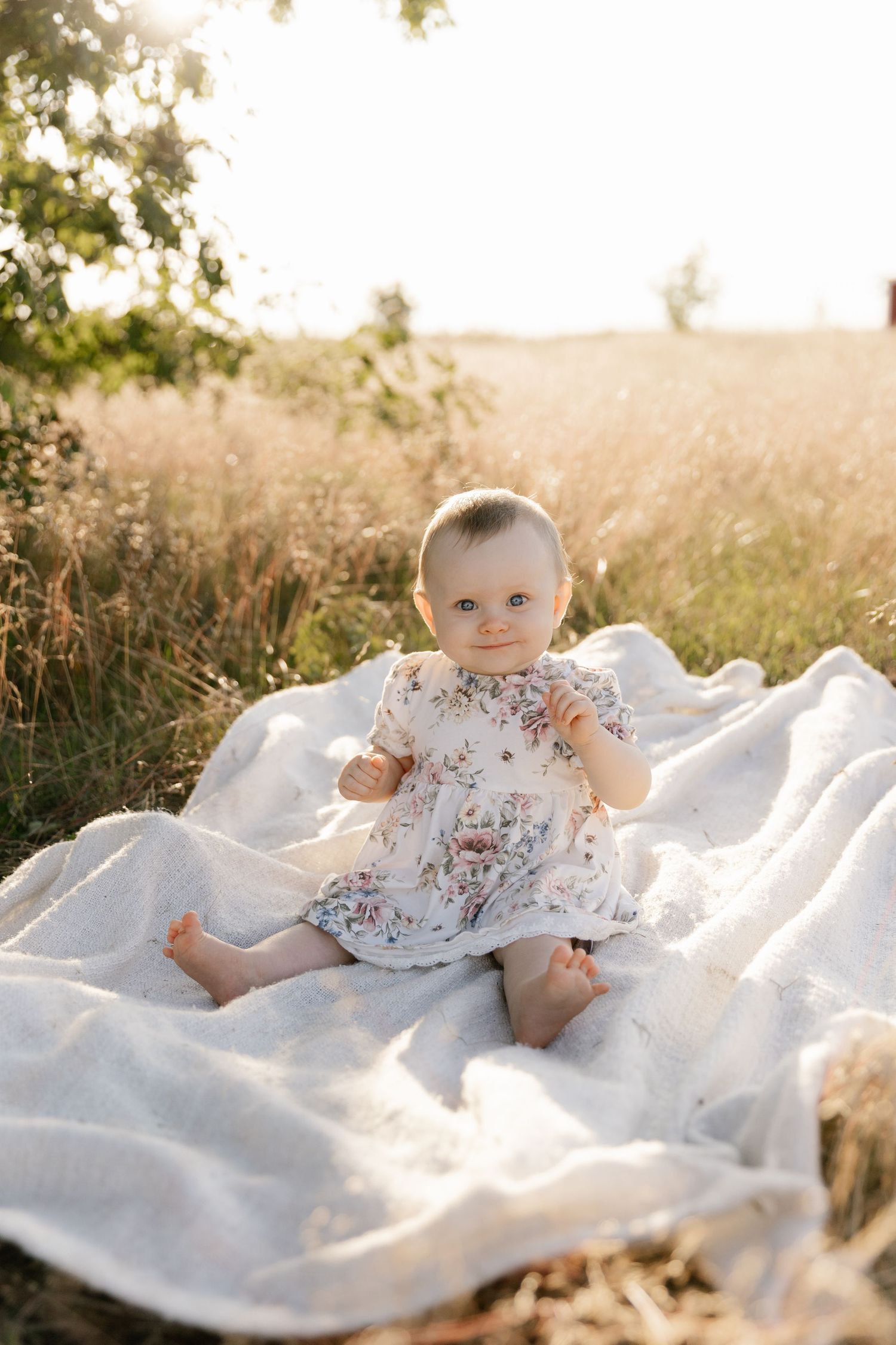 A baby sits on a white blanket in a sun-drenched field wearing a delicate floral dress.