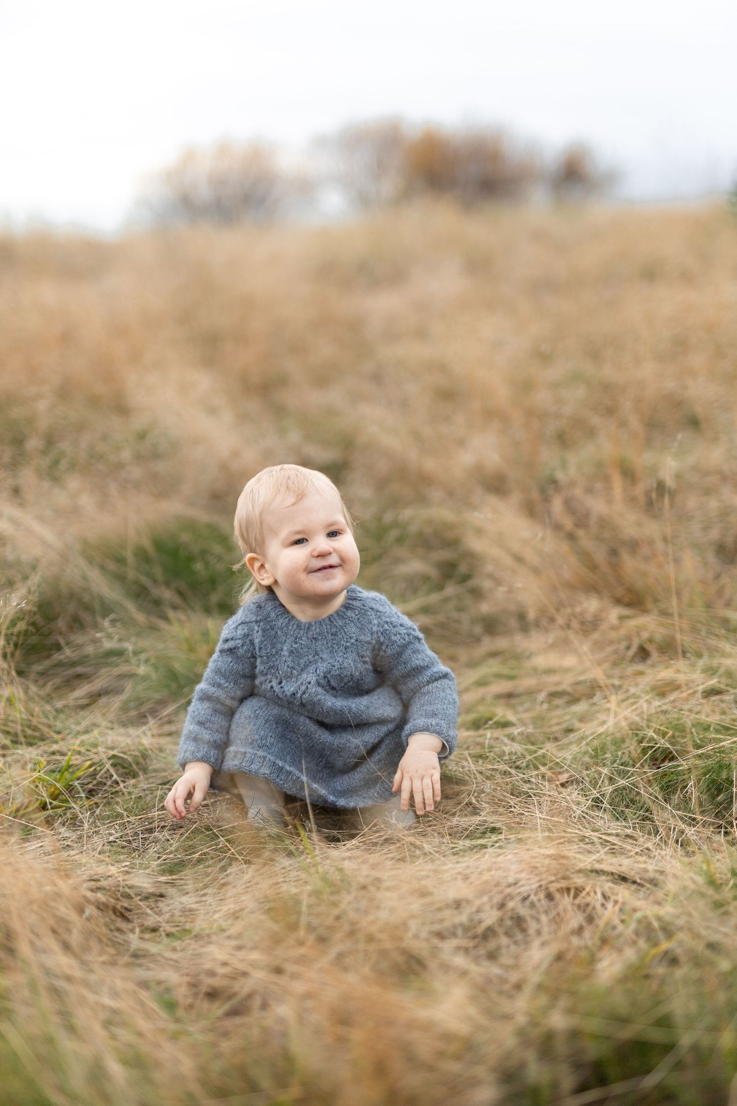 A toddler in a grey sweater sits among tall golden grass during autumn.