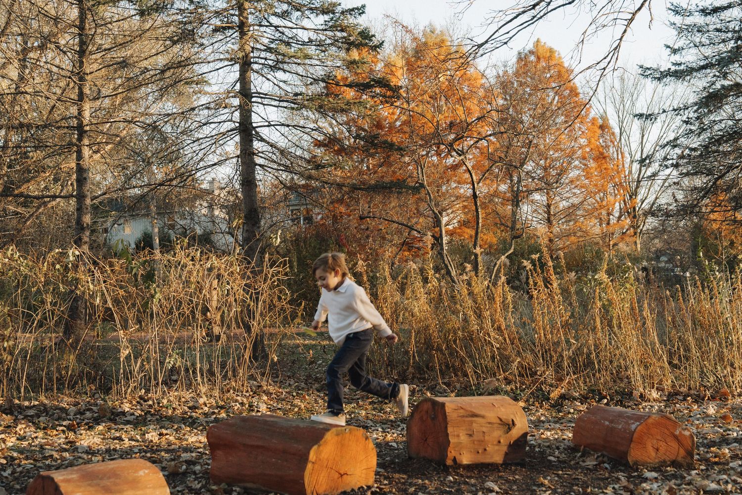 Young child jumping over wooden log stumps in an autumn park with golden foliage.