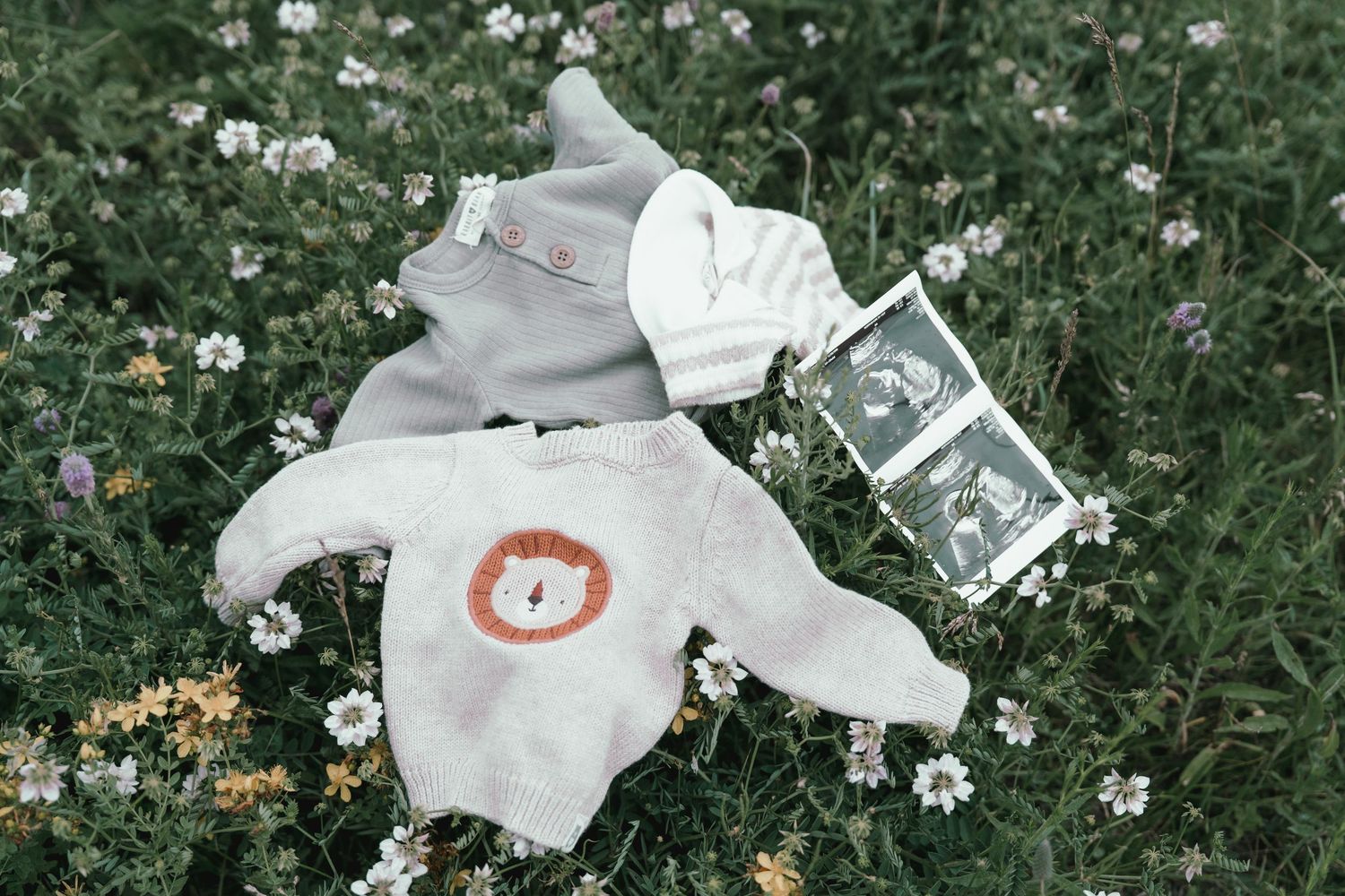 Baby onesies and ultrasound photos arranged on a bed of white wildflowers in a field.