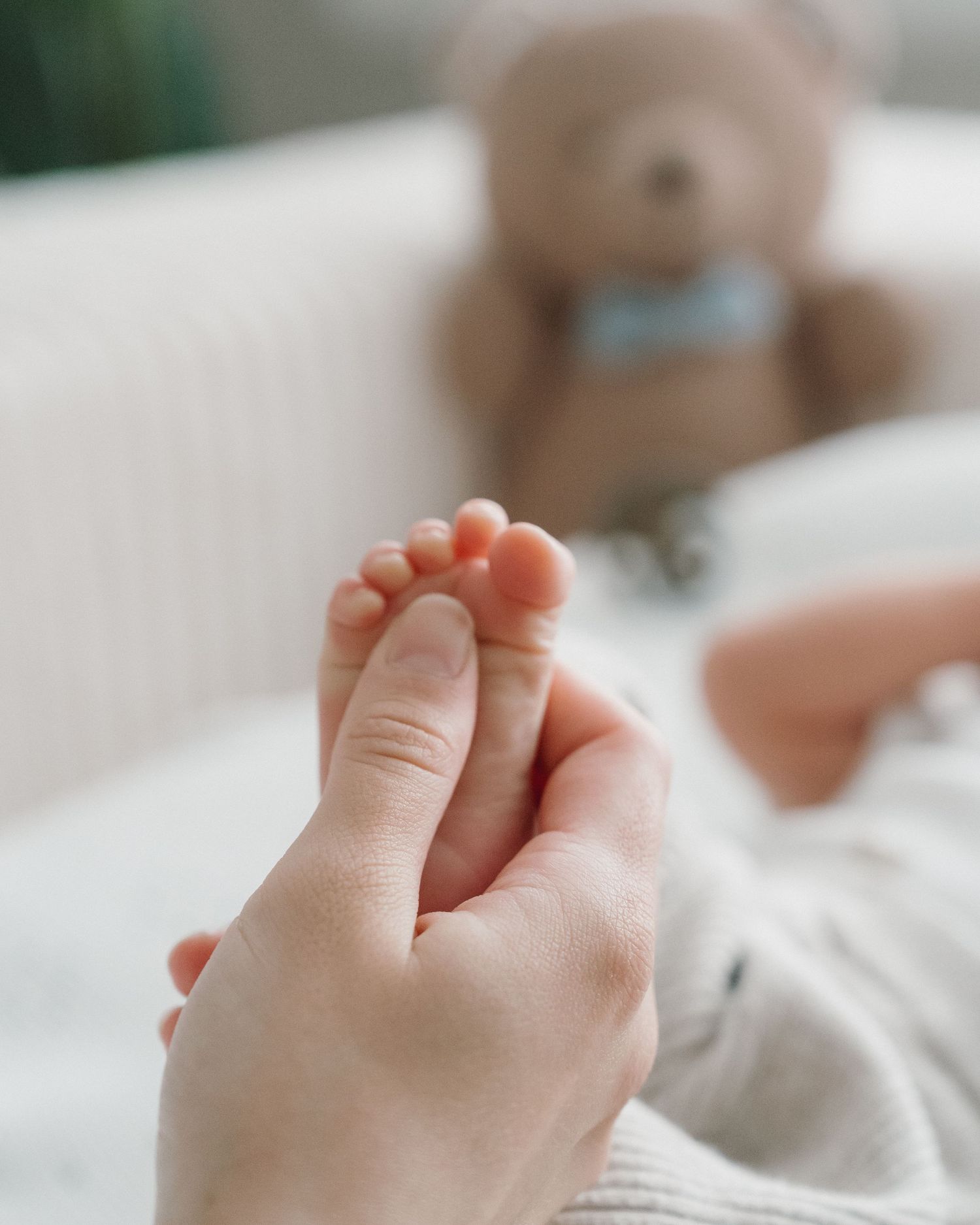 Parent gently holding tiny newborn baby foot with soft teddy bear in background.