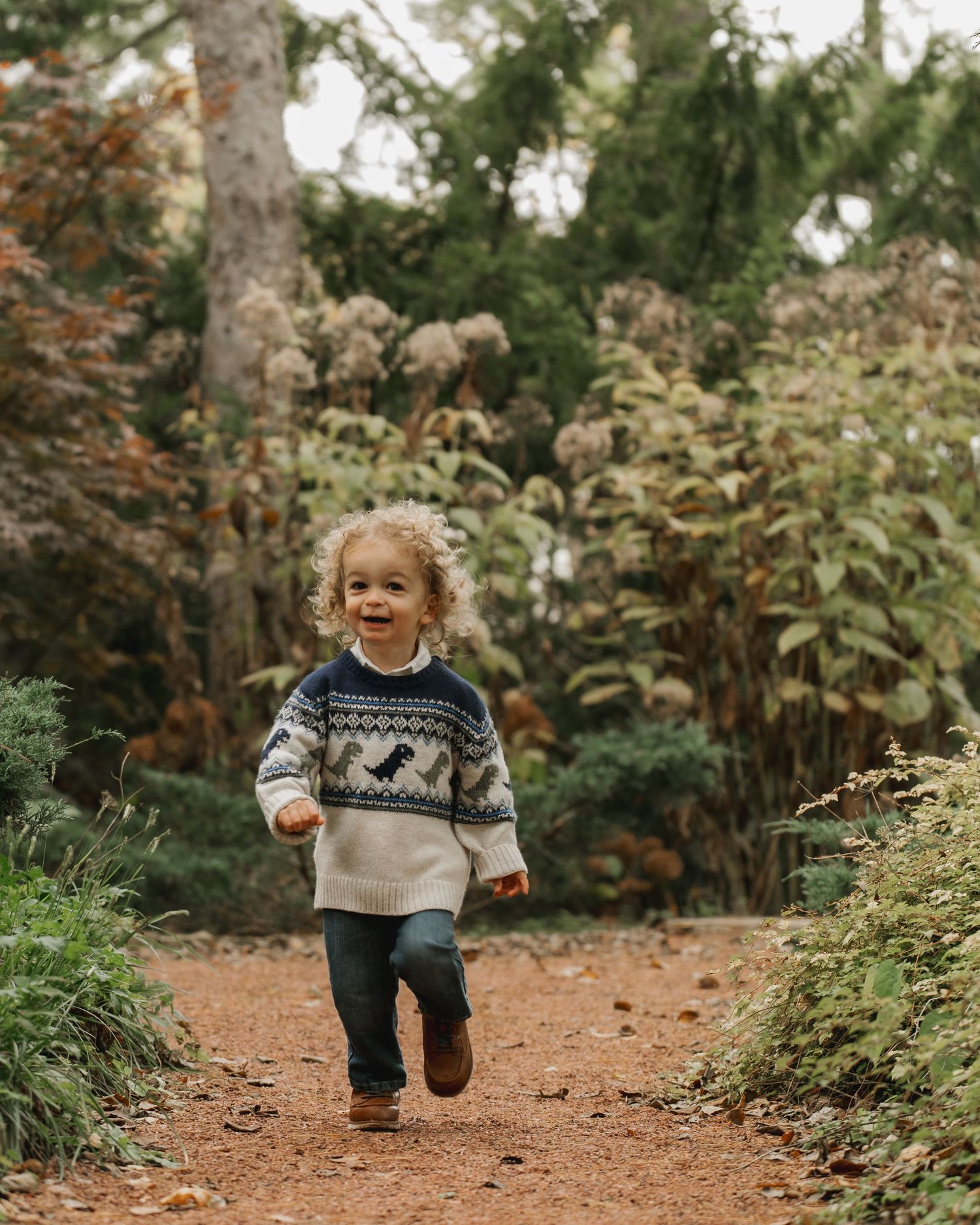 Curly-haired toddler in dinosaur sweater running along autumn garden path.
