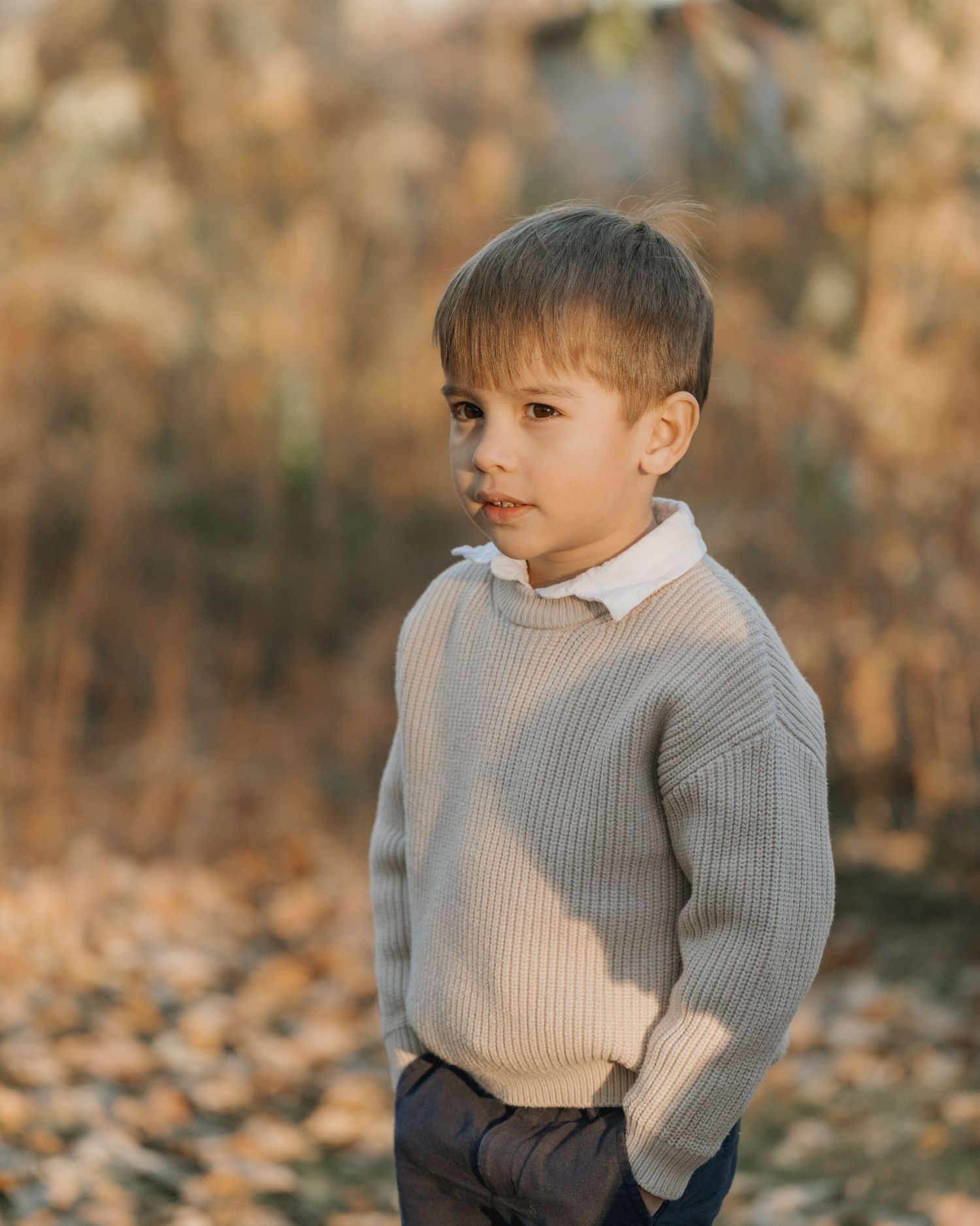 Young boy in beige knit sweater stands thoughtfully in a golden autumn field.