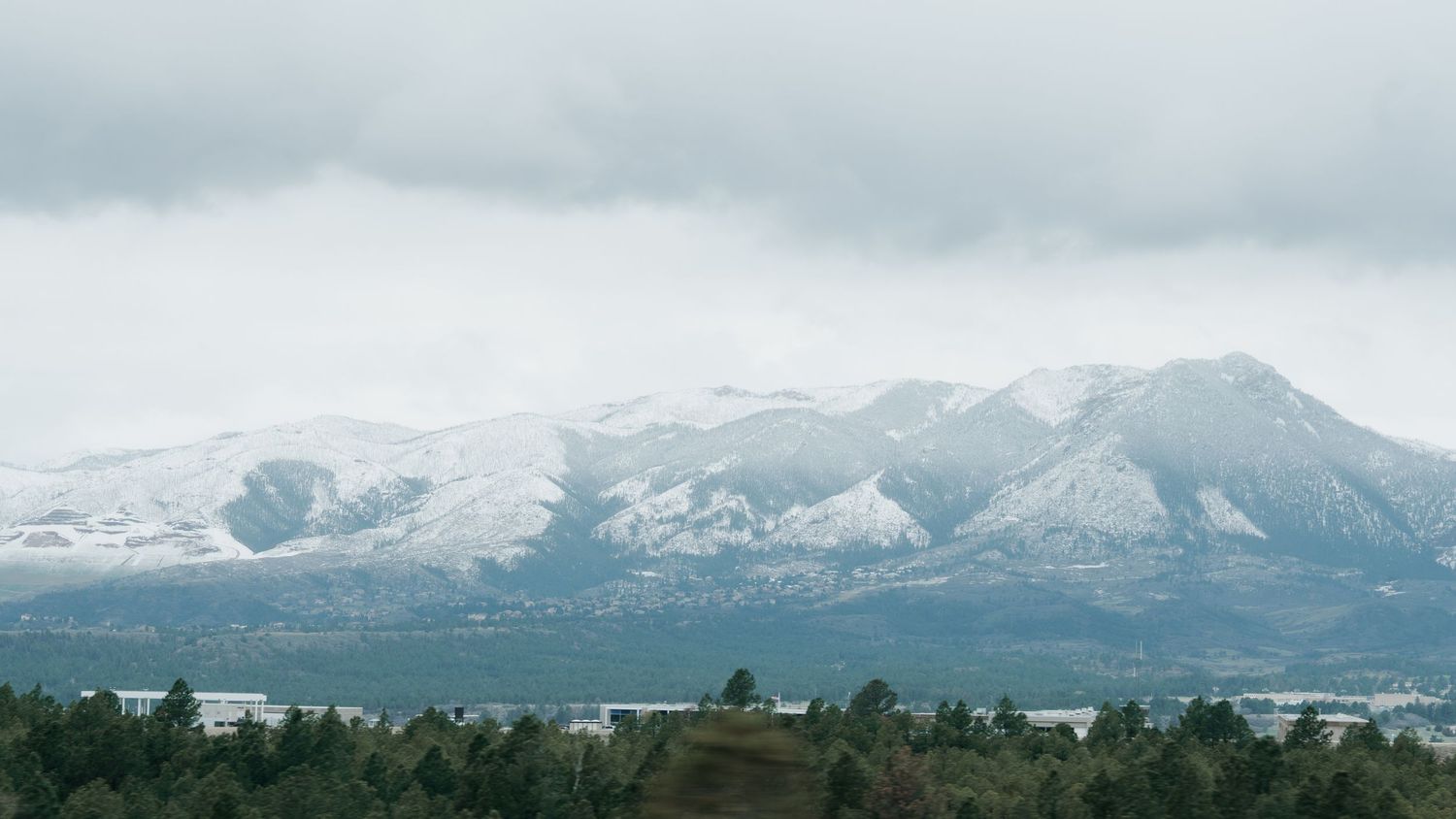 Snow-capped mountain range under overcast skies with dense evergreen forest in the foreground.