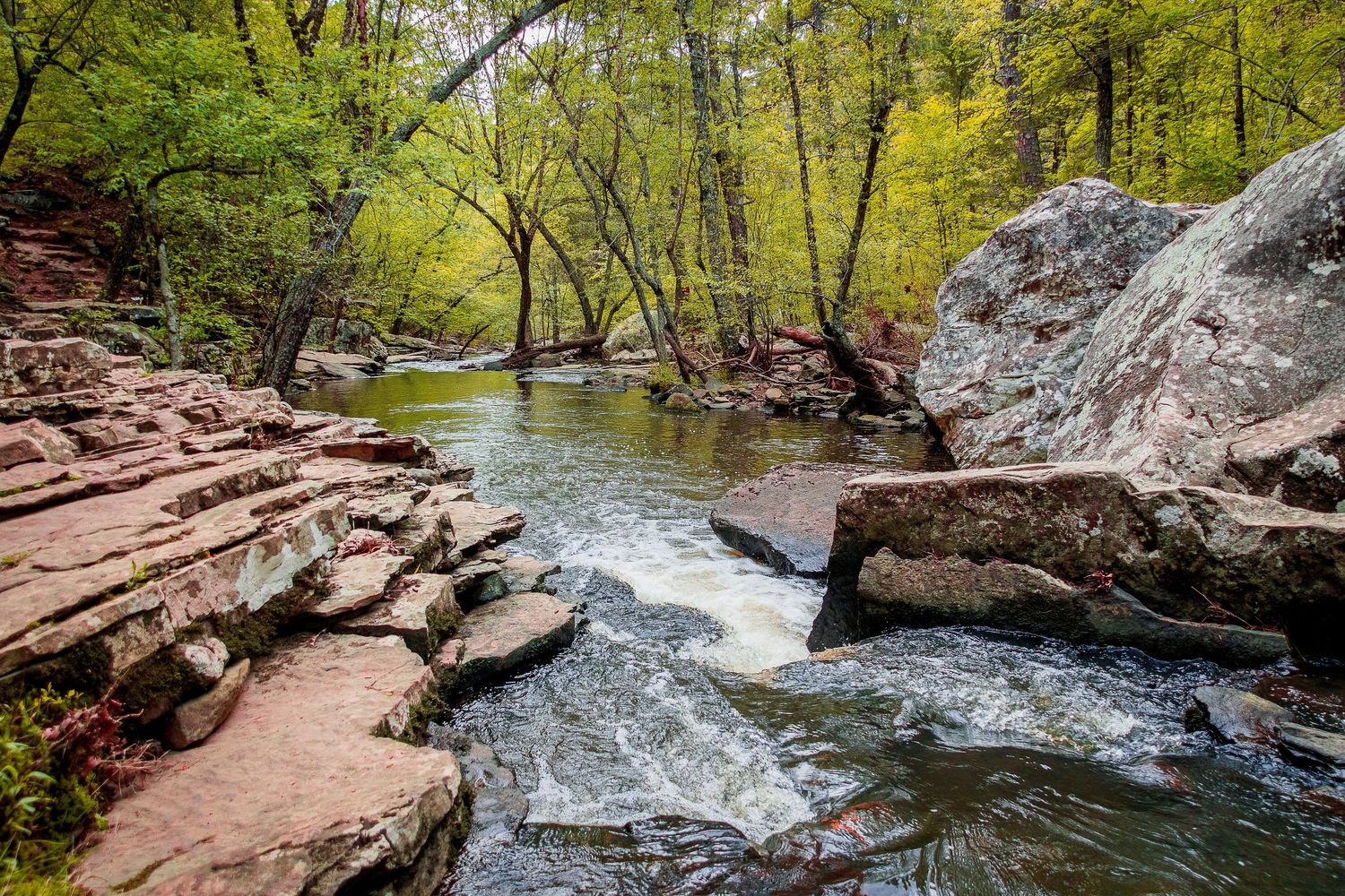 Natural creek bed with exposed red rock layers and flowing water surrounded by fall trees.