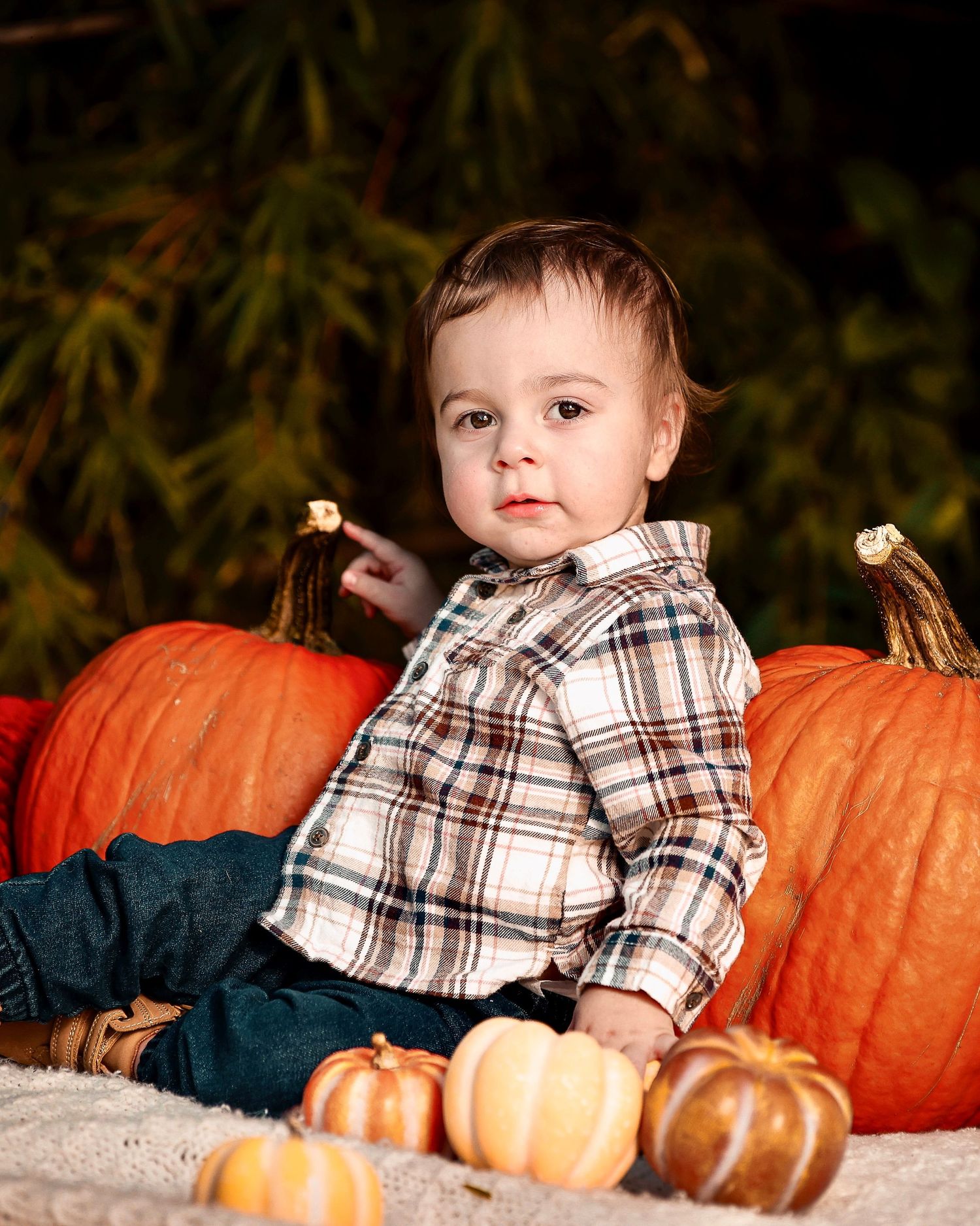 Autumn themed baby photo with pumpkins and plaid outfit.